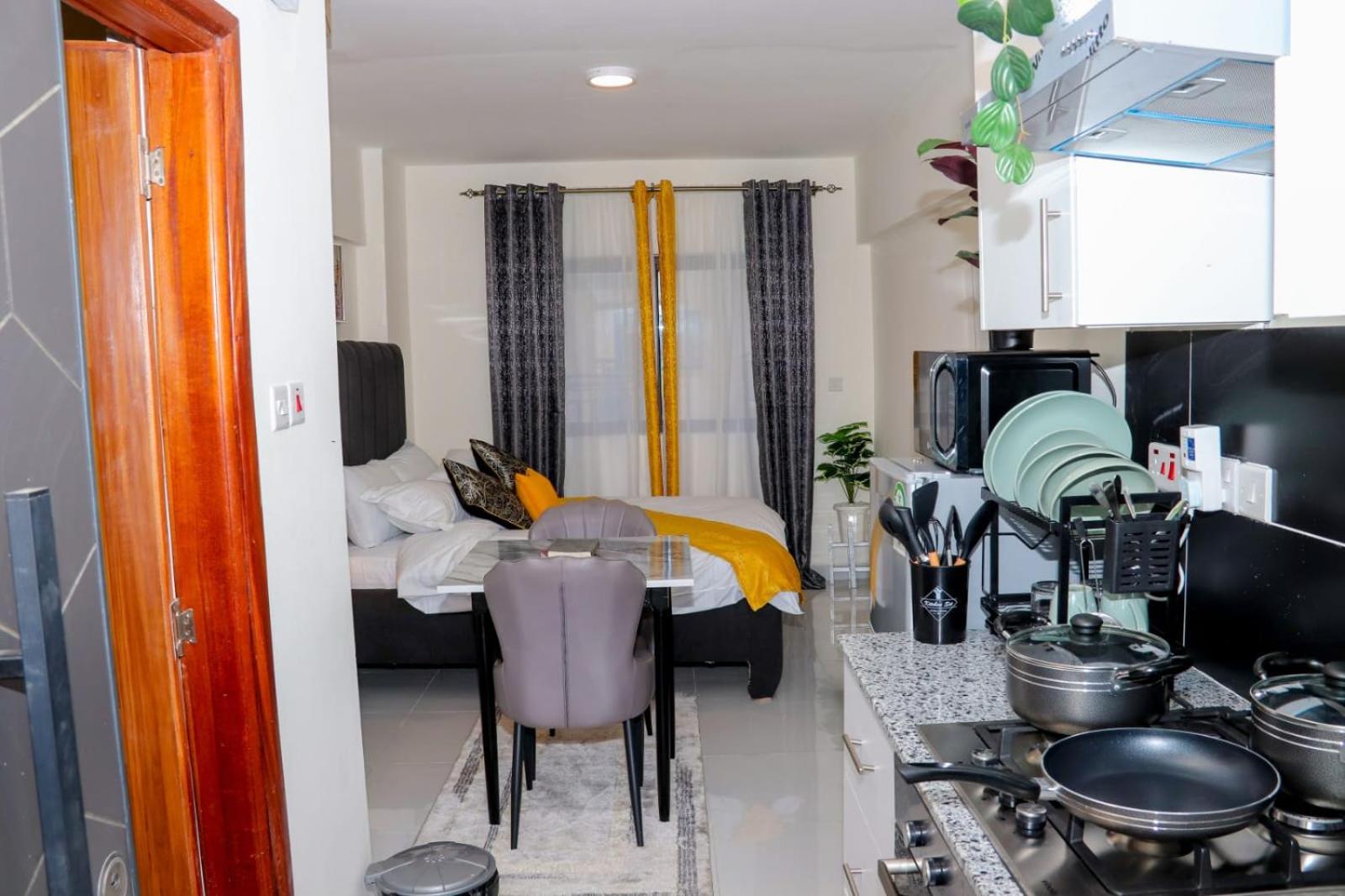 Lux studio apt next to jkia view 3