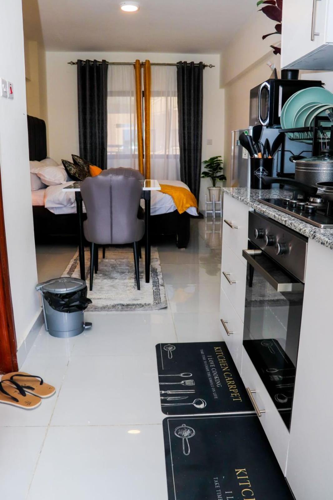 Lux studio apt next to jkia view 2