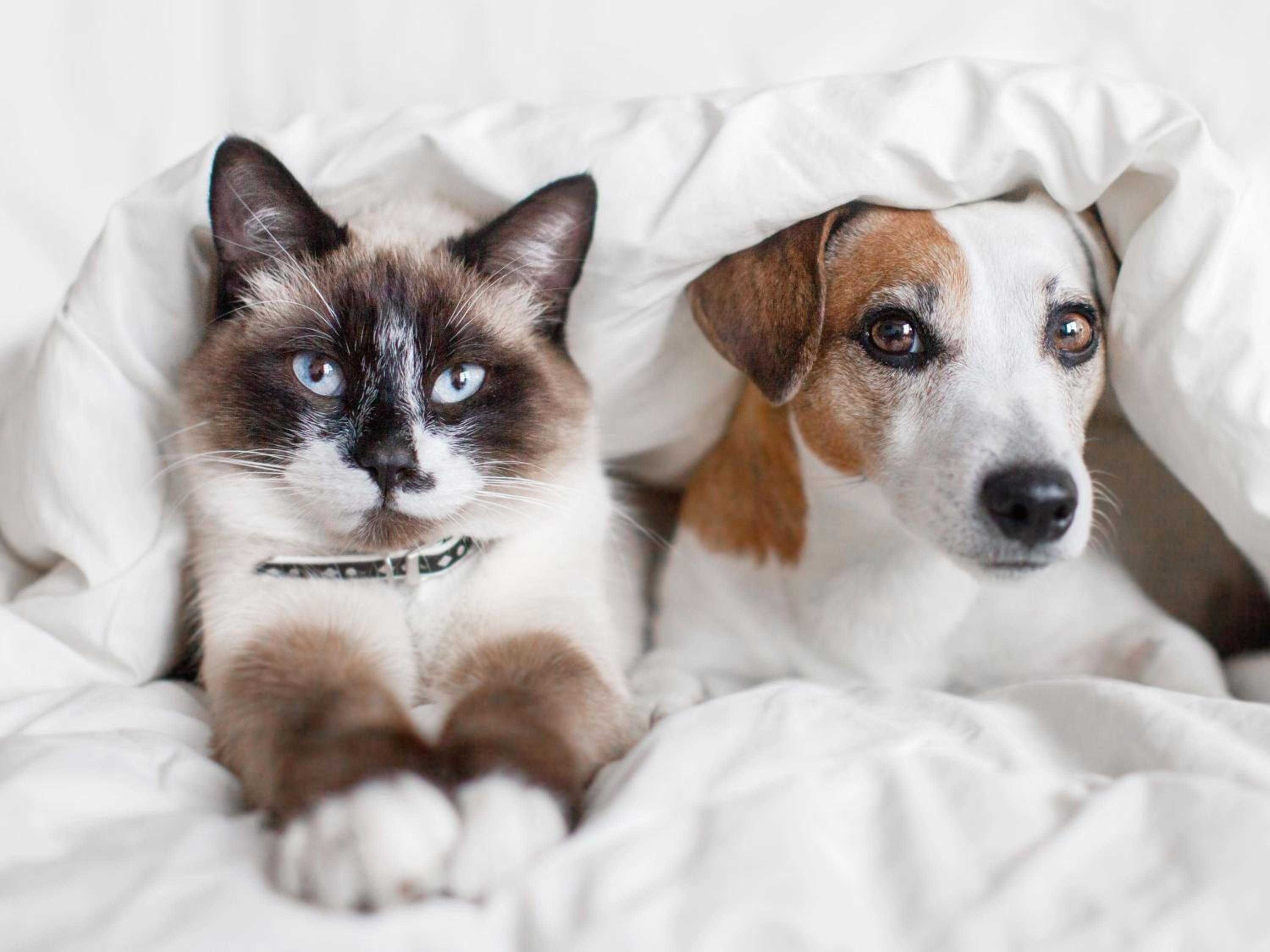 Apartamentos Realejo Granada Centro 3000