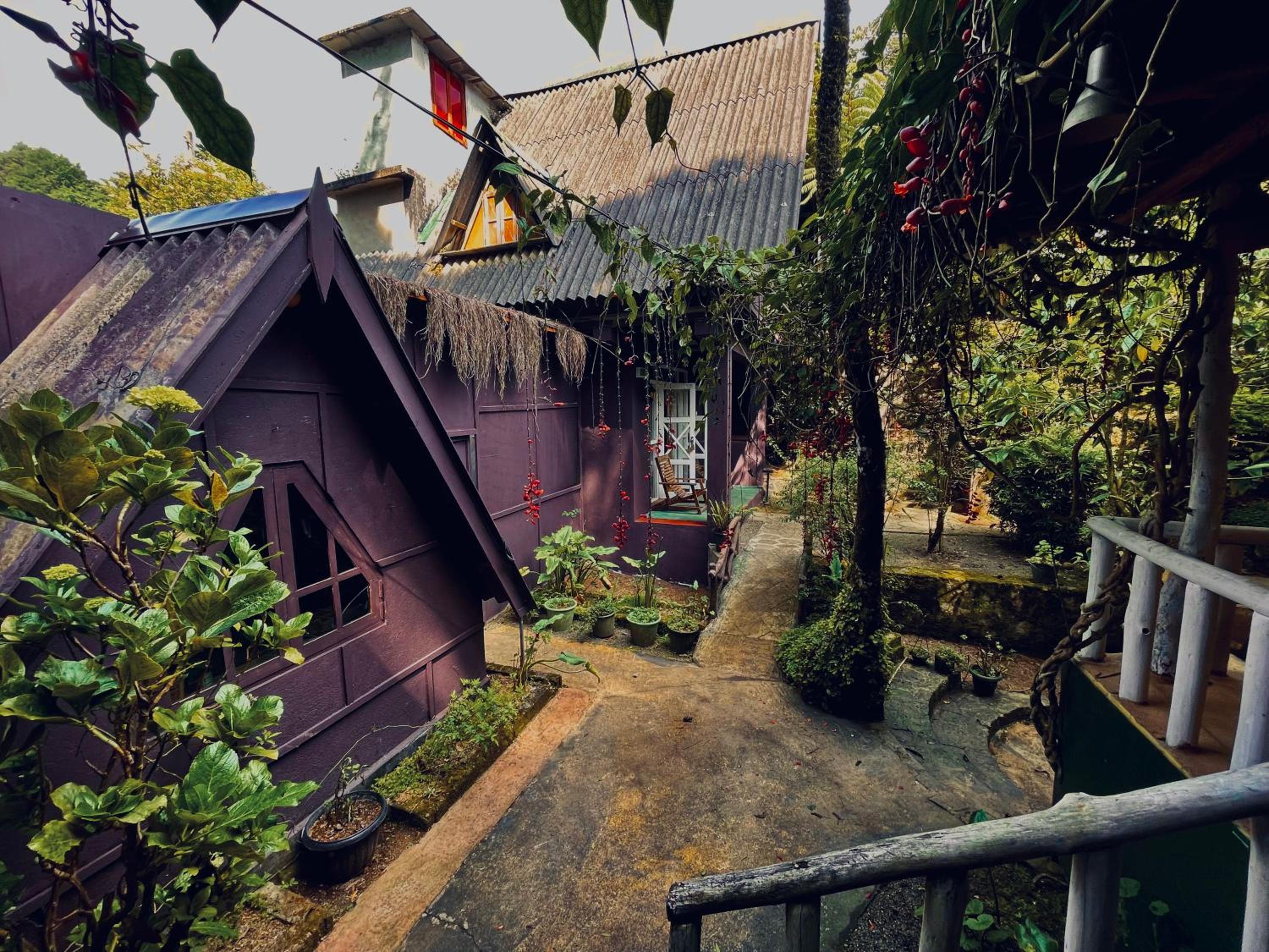 King Fern Cottage view 4