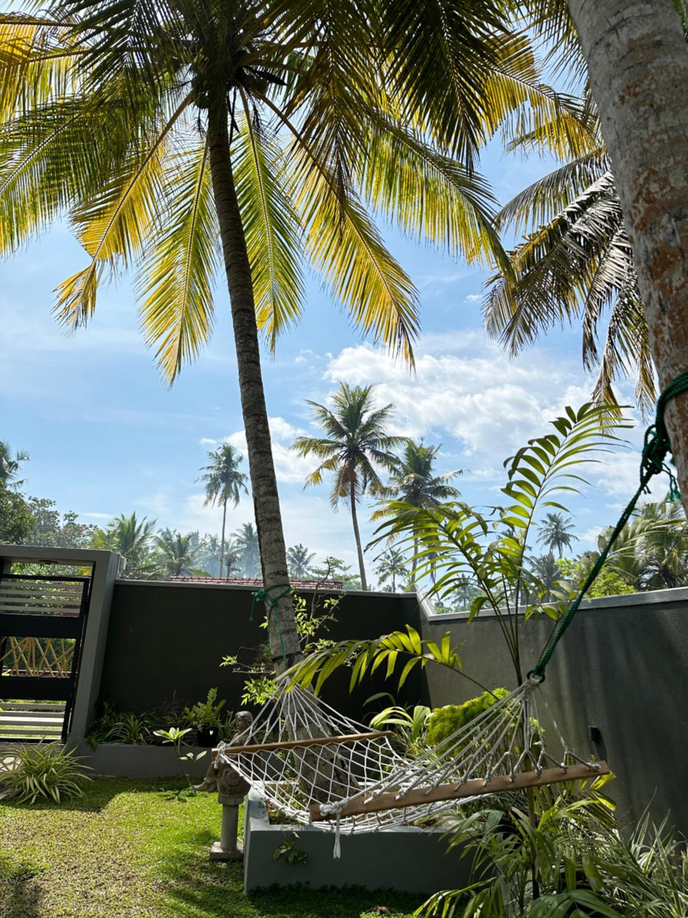The Green Haven Villa view 4