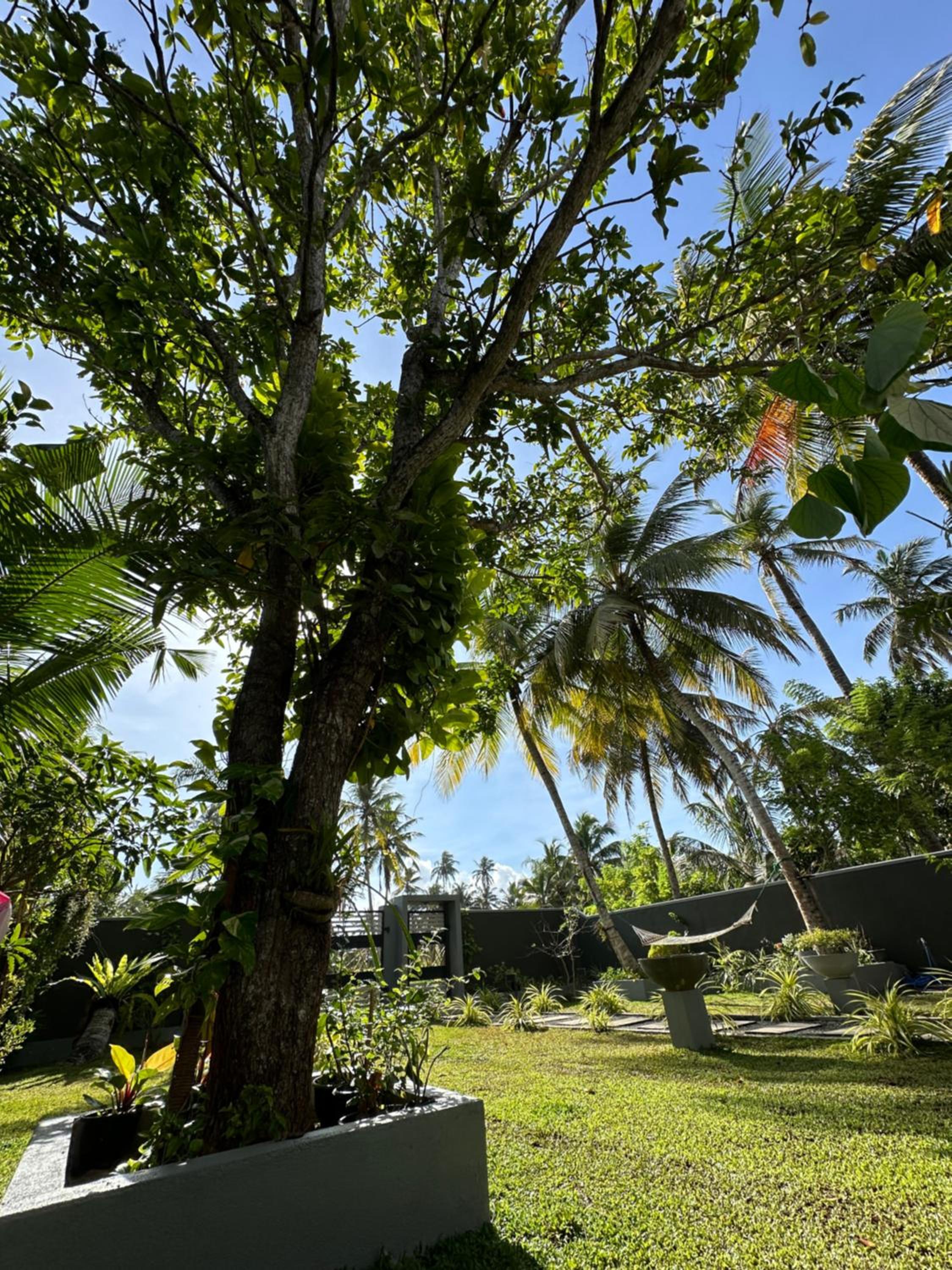 The Green Haven Villa view 5
