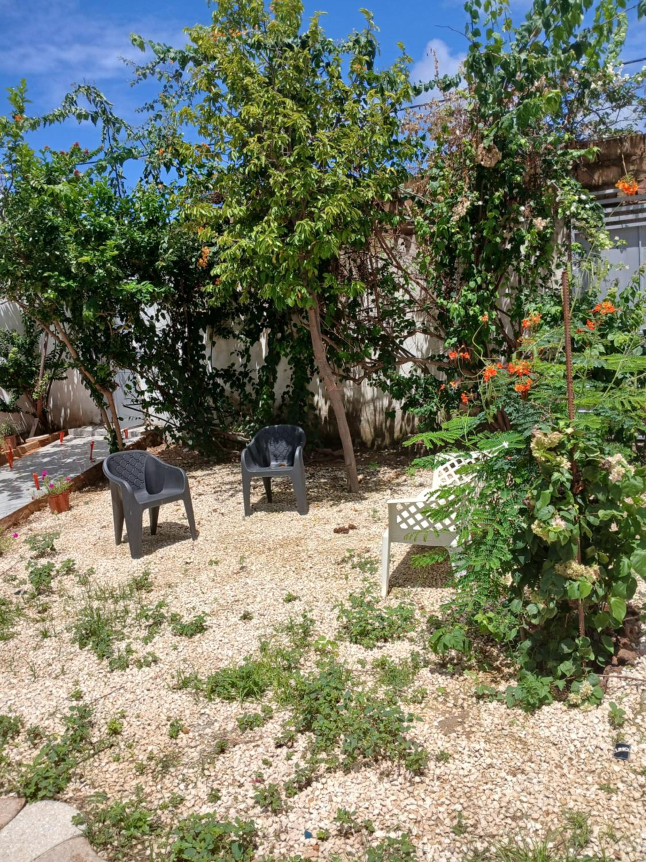 Photo 26