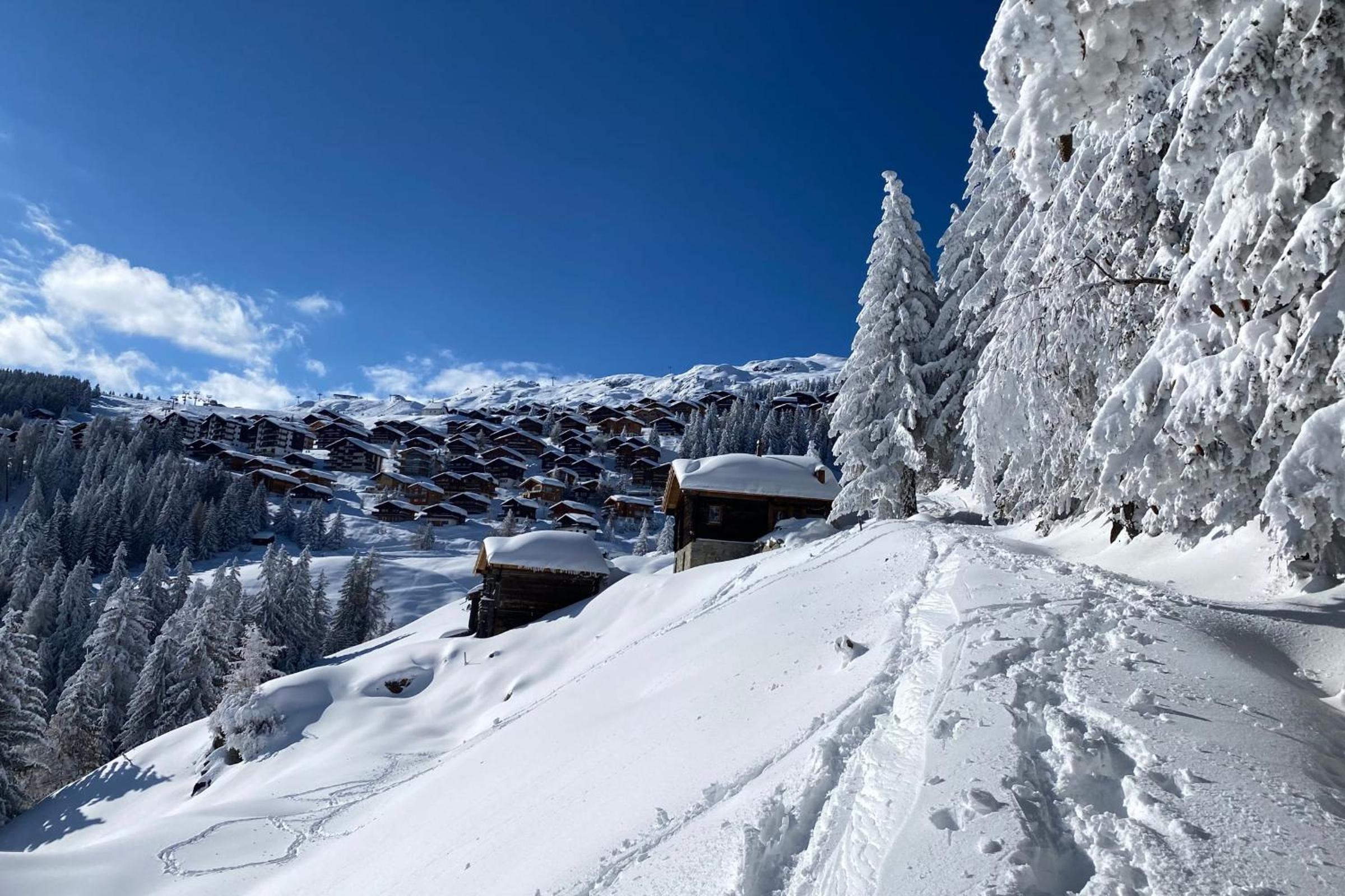 Alphütte Ried