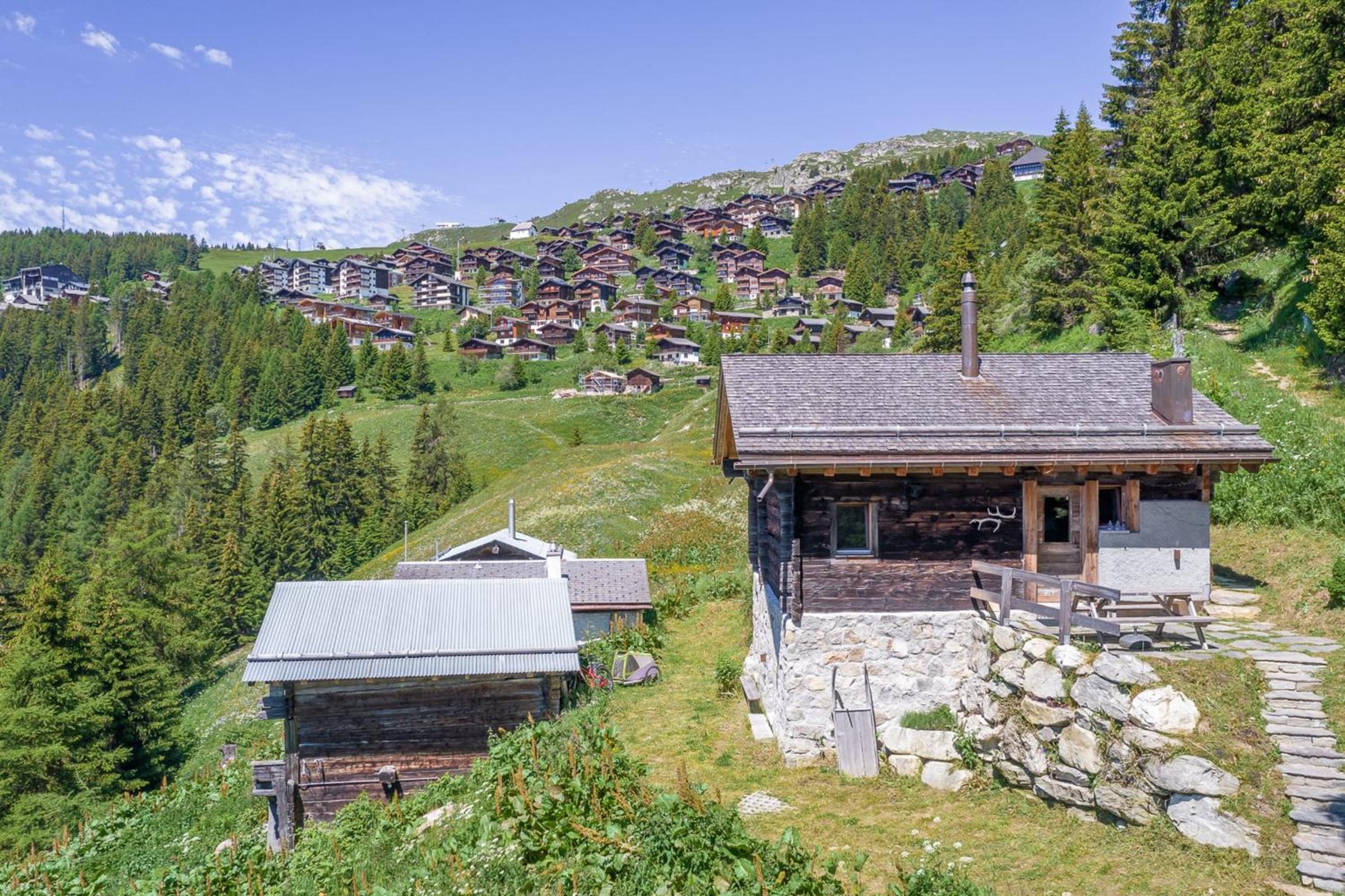 Alphütte Ried