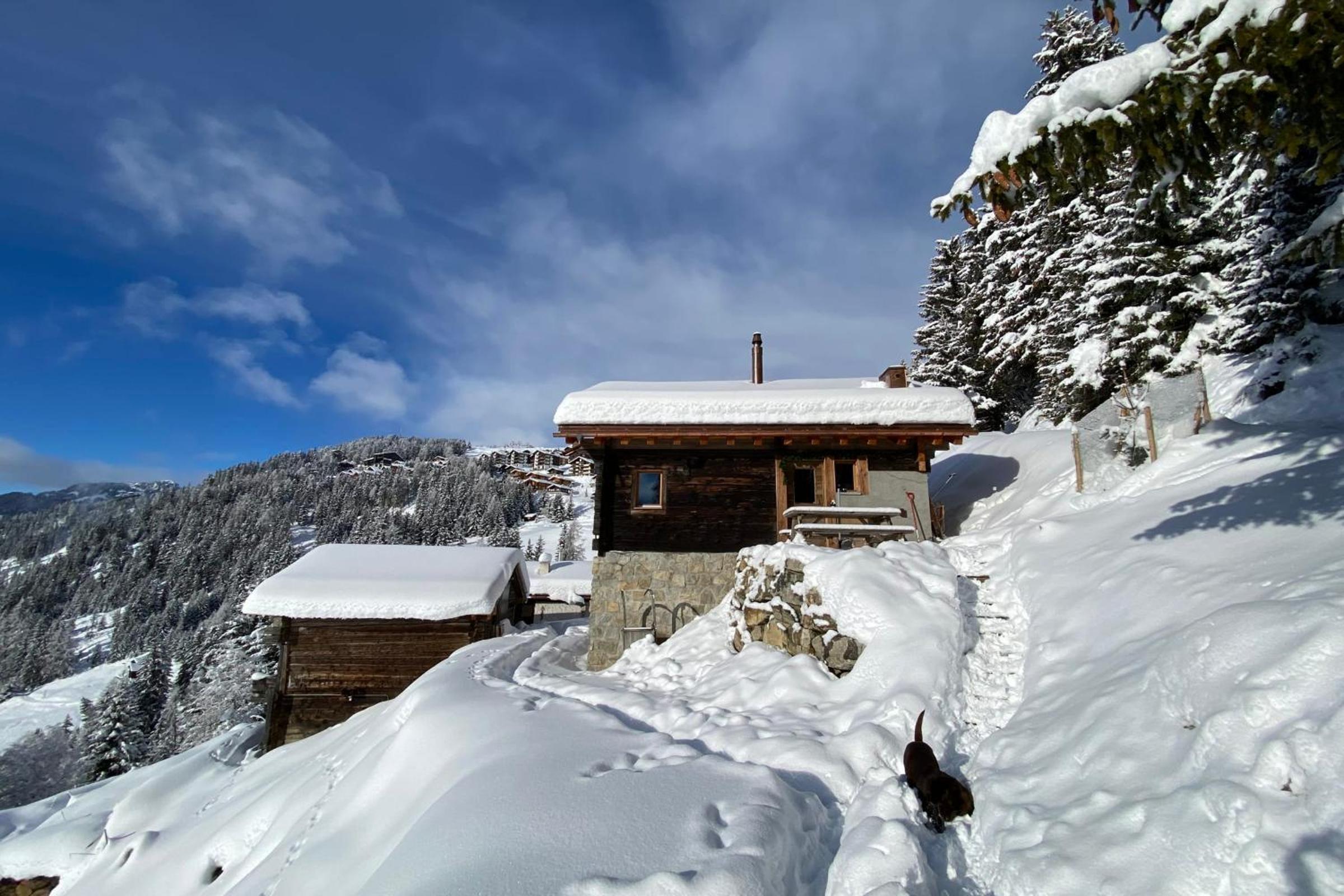 Alphütte Ried