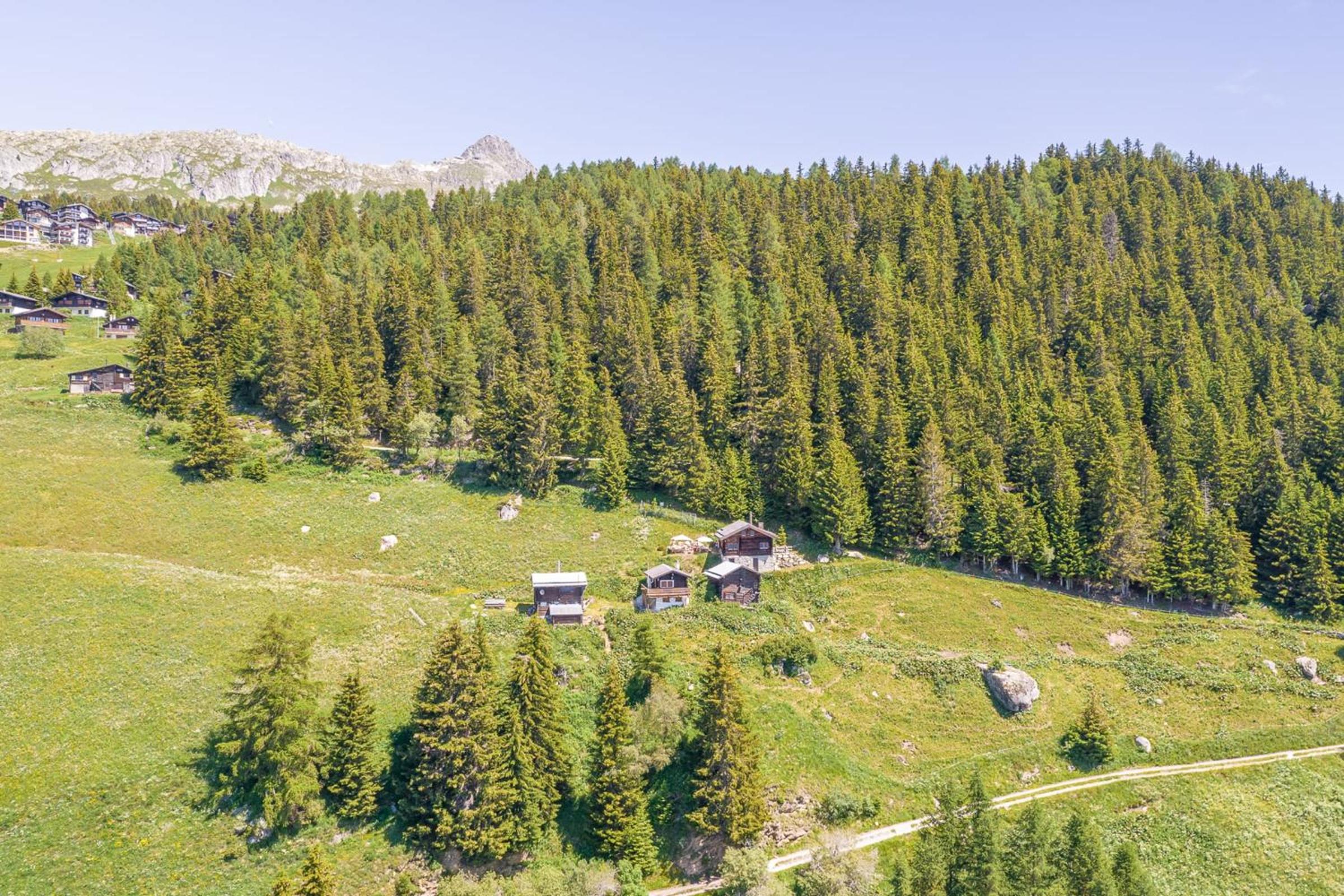 Alphütte Ried