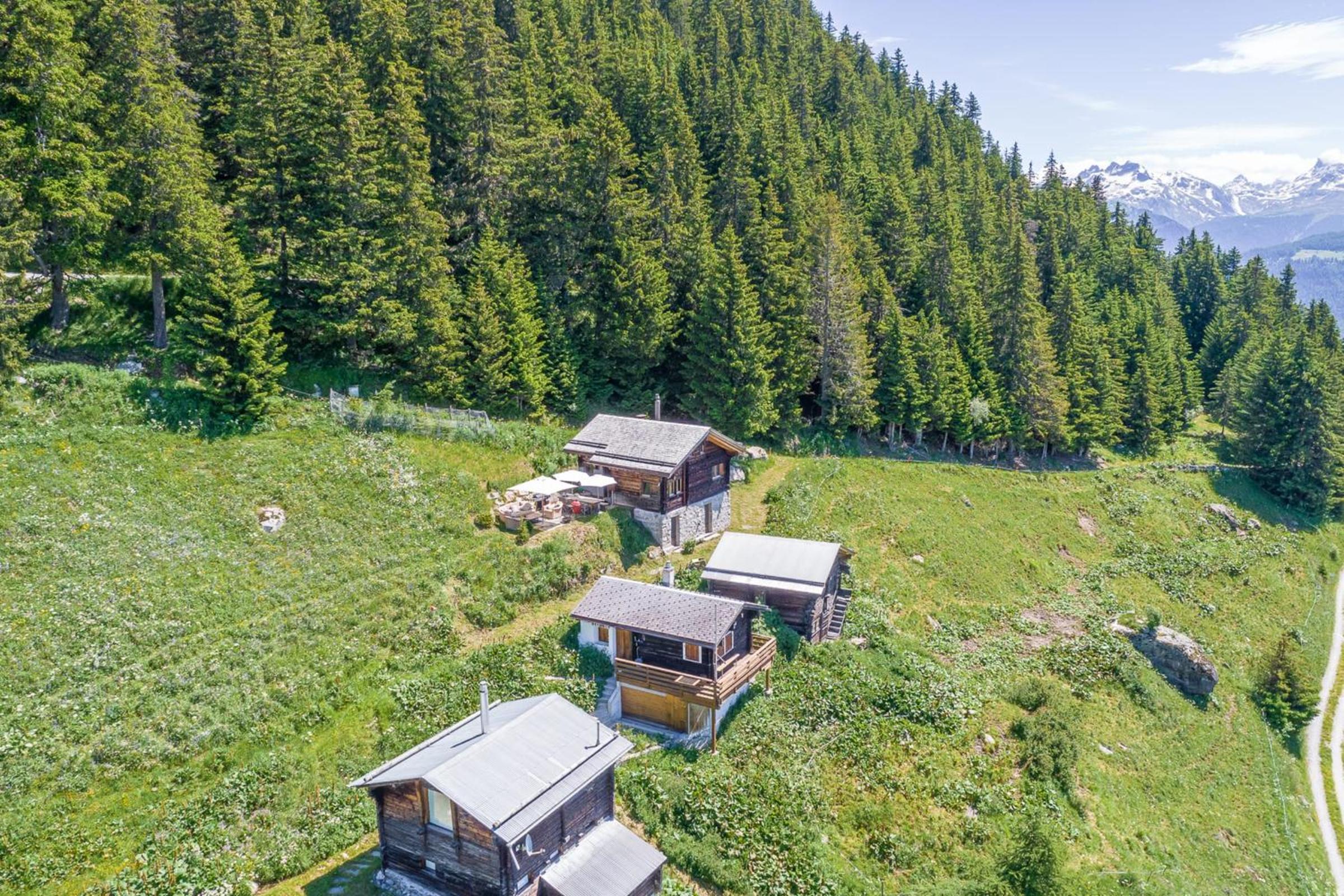 Alphütte Ried