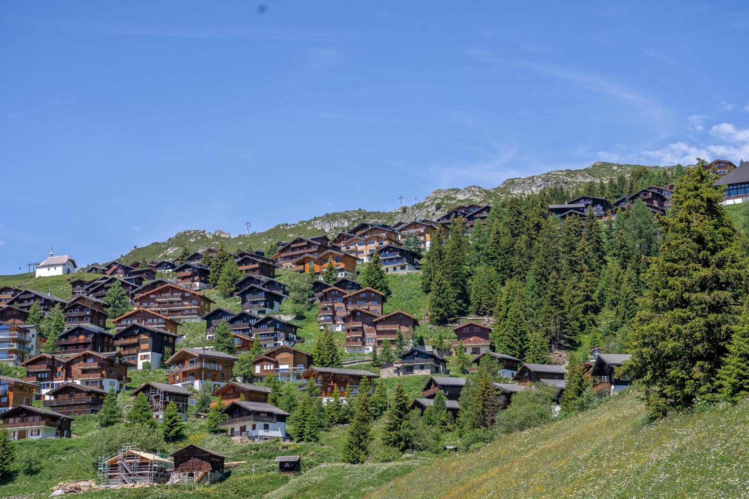 Alphütte Ried