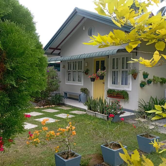 Tiny Art House with Garden