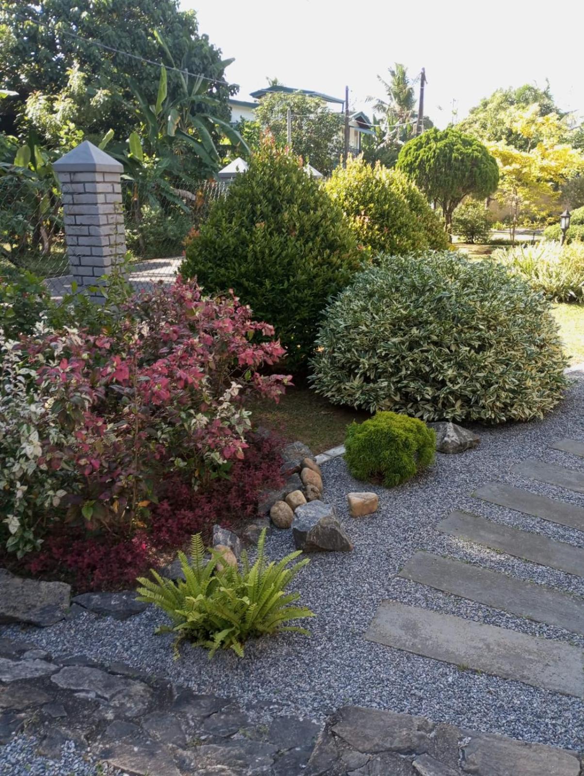 Tiny Art House with Garden