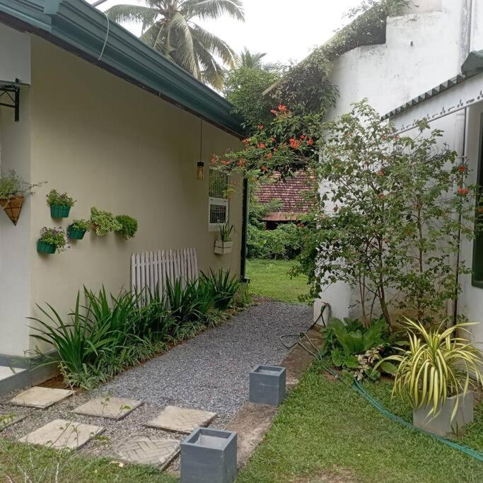 Tiny Art House with Garden