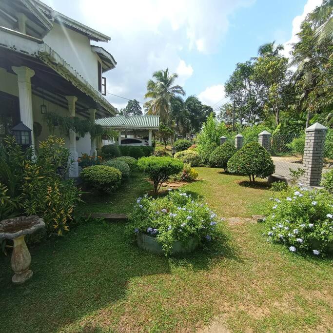 Tiny Art House with Garden