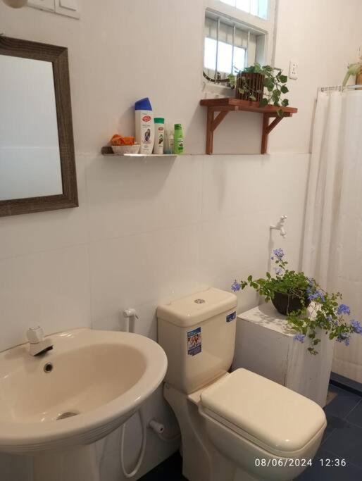 Tiny Art House with Garden