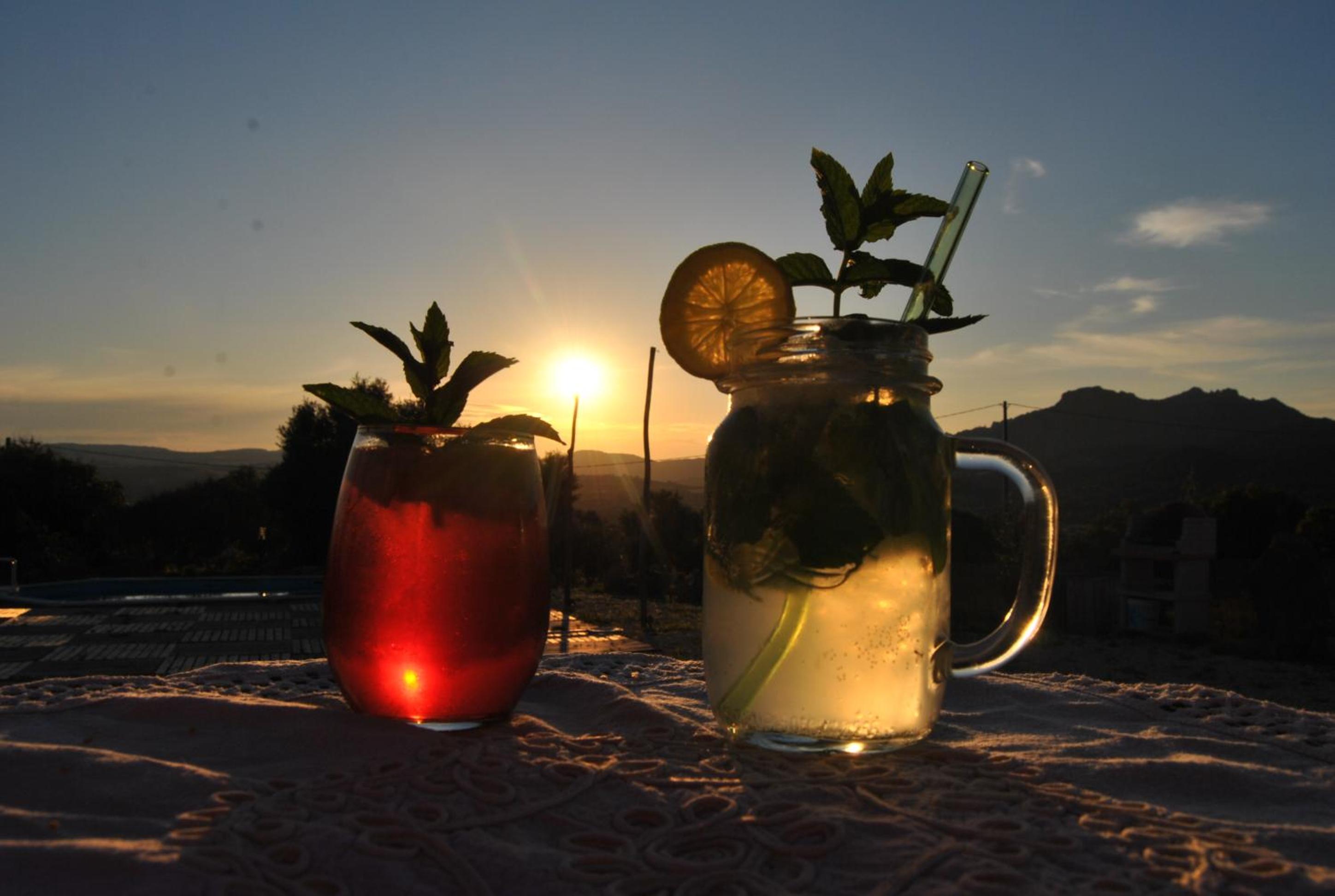 Pasare Glamping_AnglonaRuralExperience