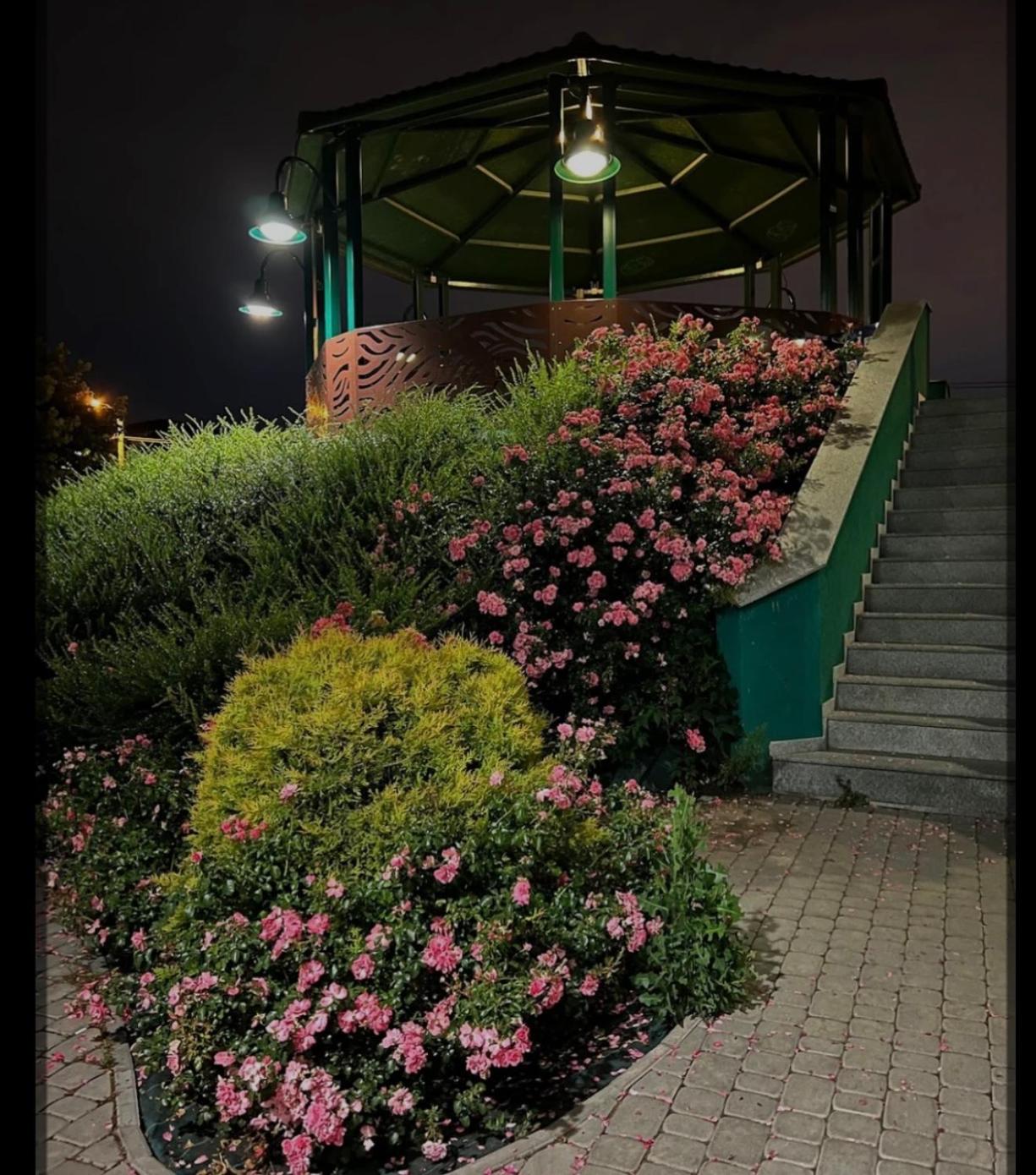 Photo 45