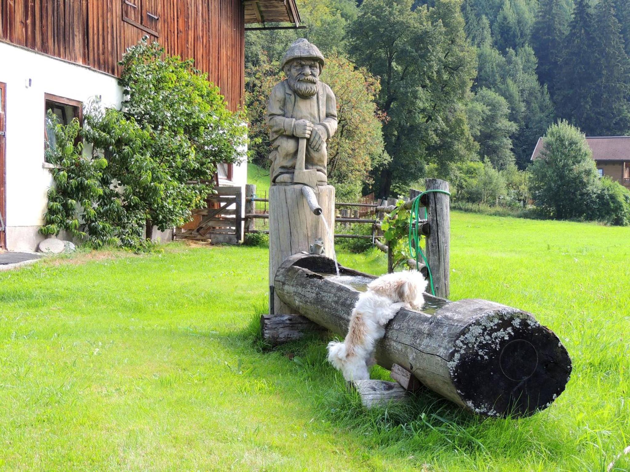 Pension Forsthof