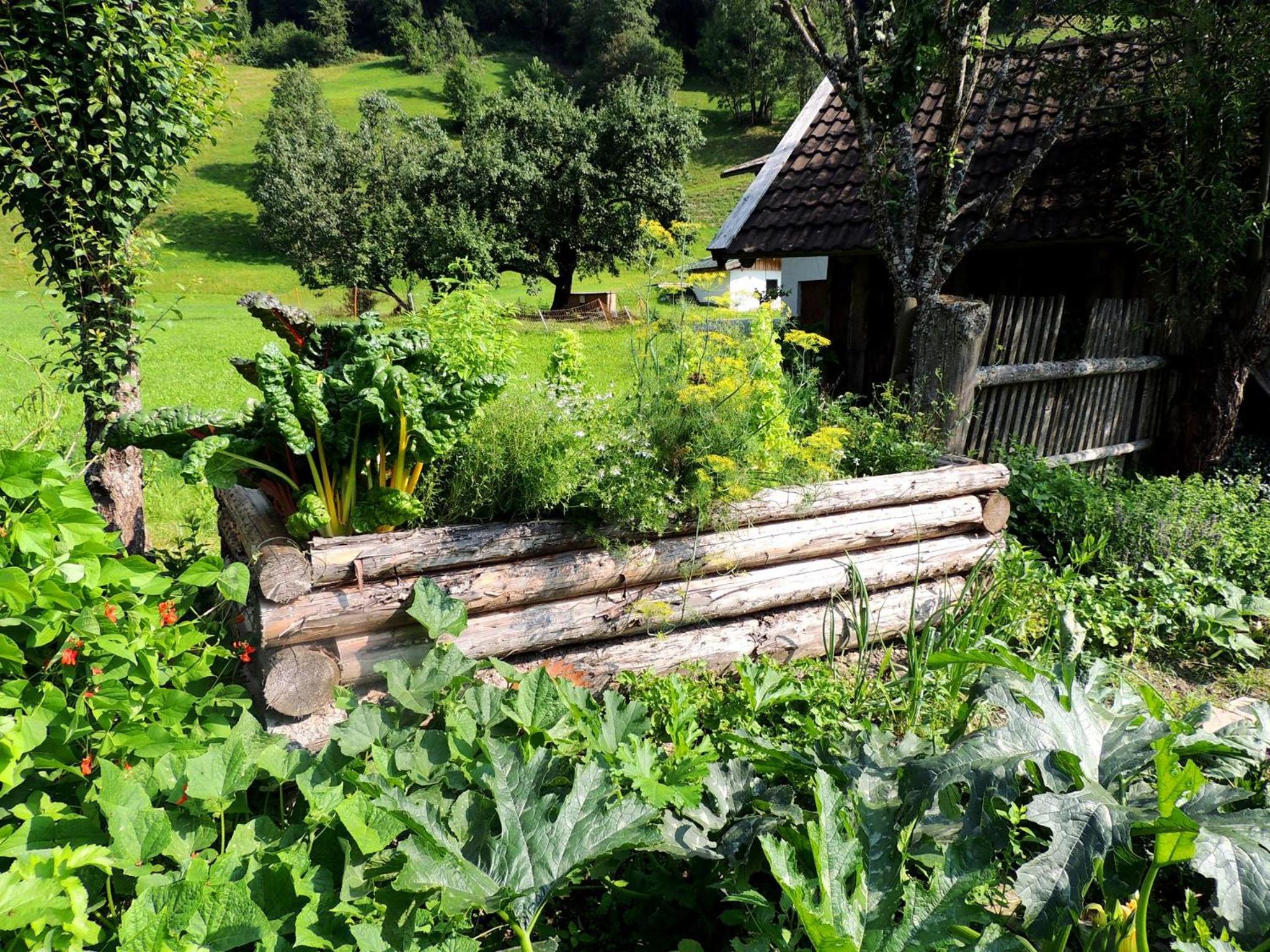 Pension Forsthof