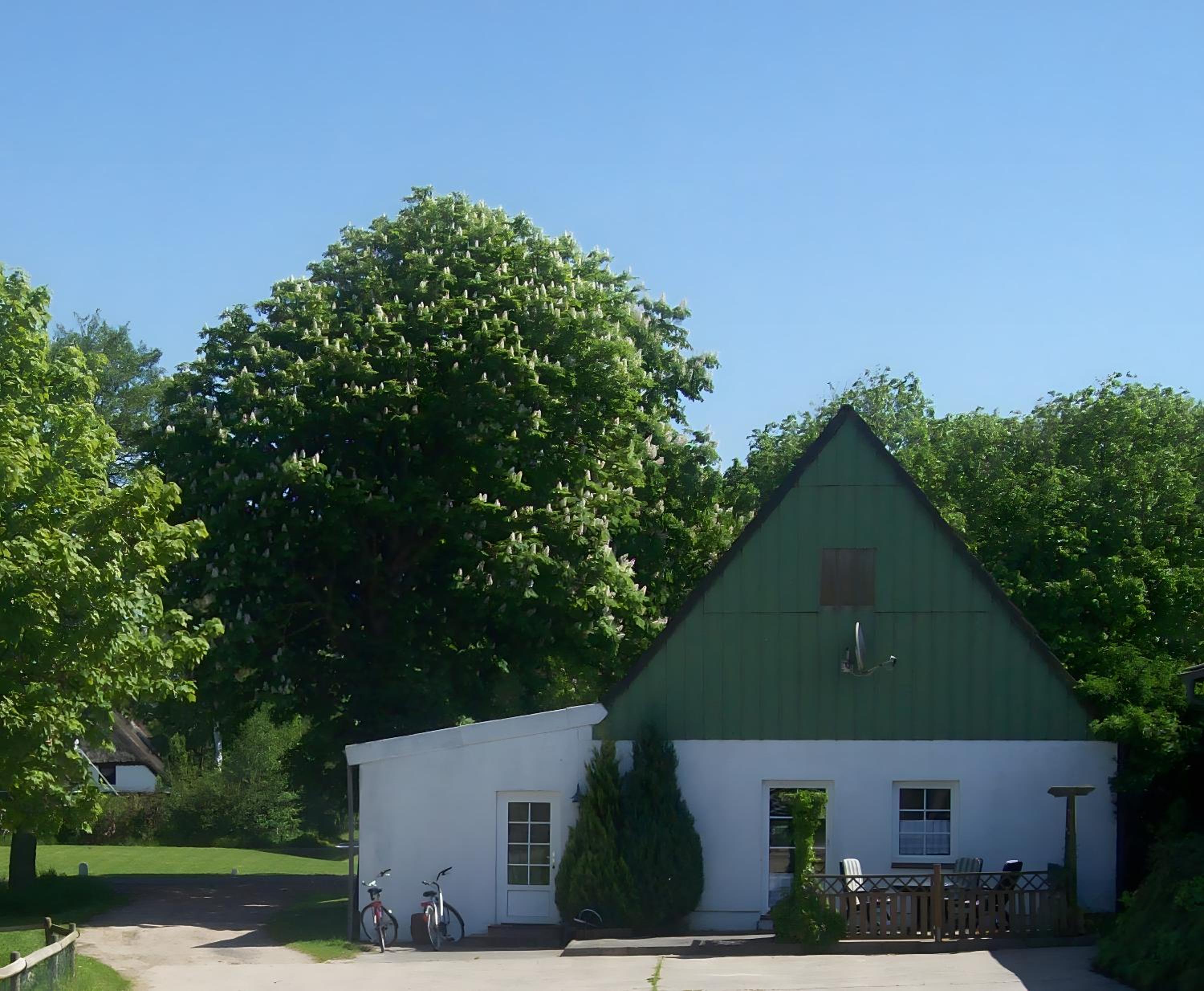 Ferienhof Lüke