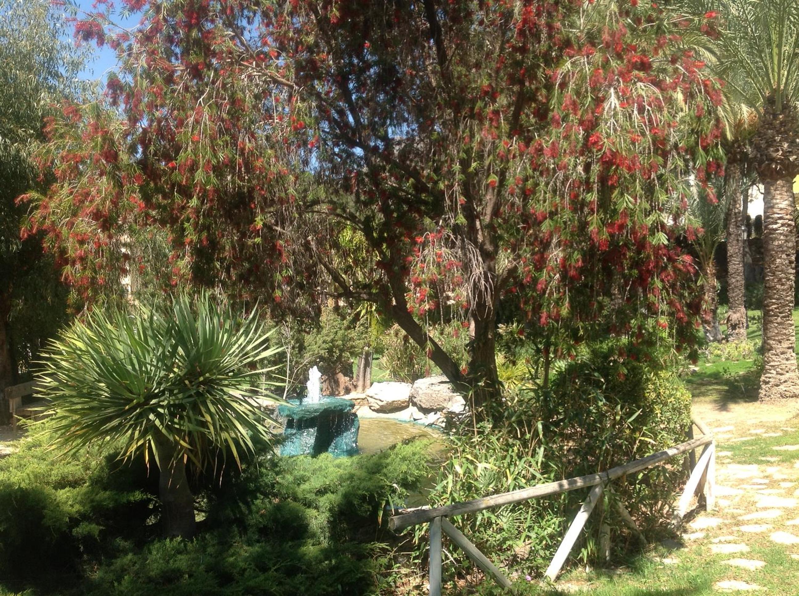 Photo 32