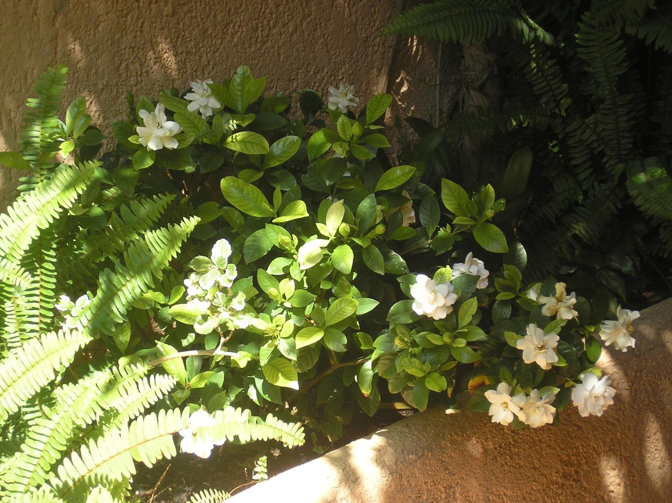 Photo 14