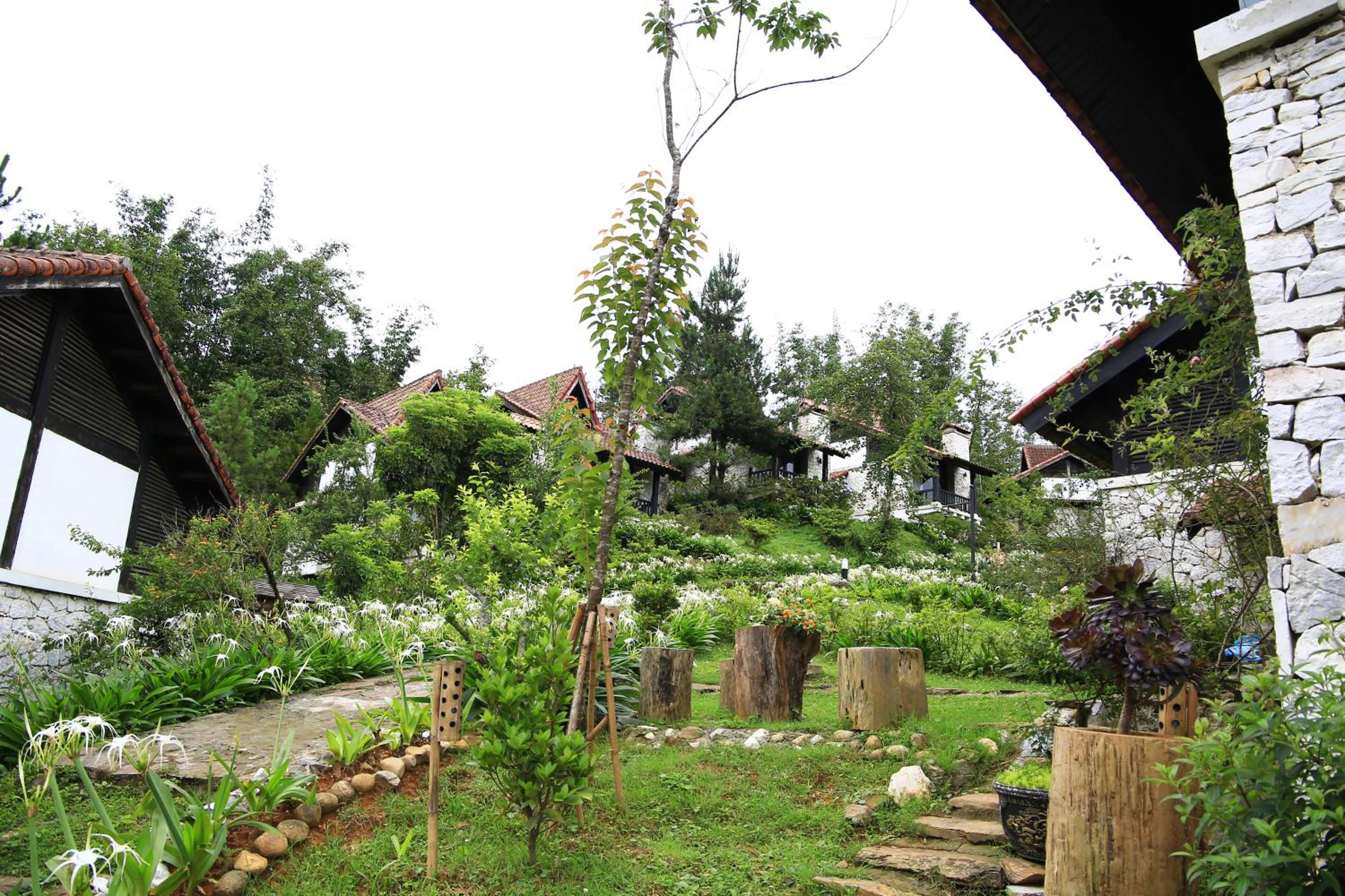 Photo 19