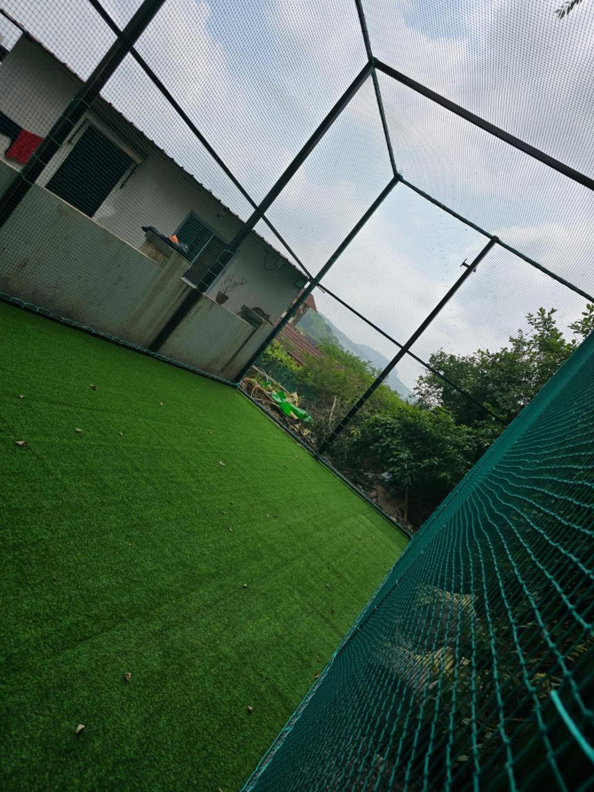 Photo 38
