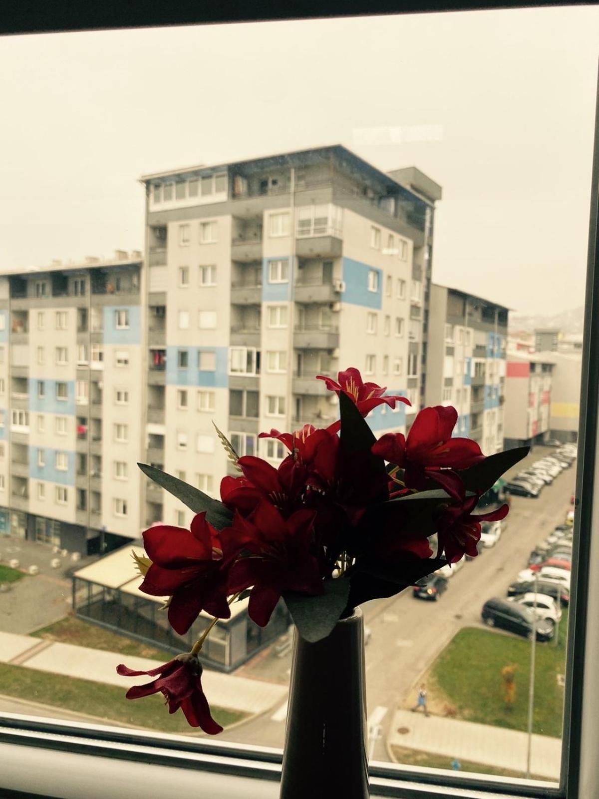 Apartman Avangarda