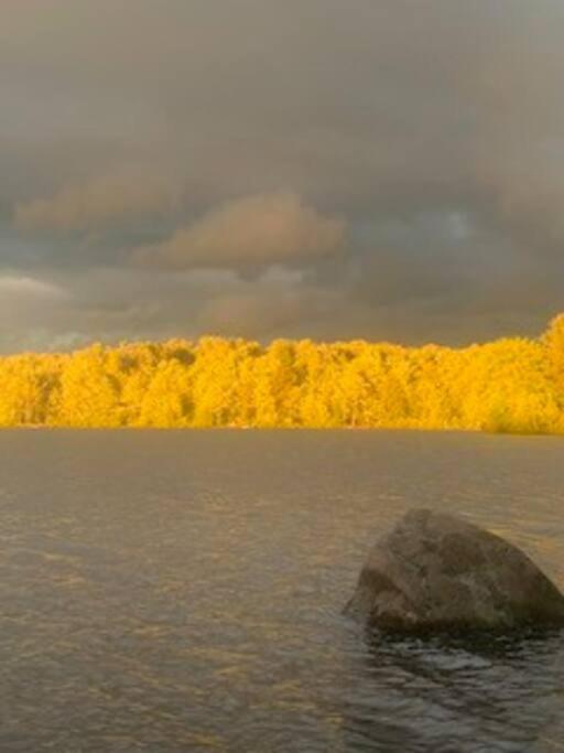 Hillsaps Lake House view 5