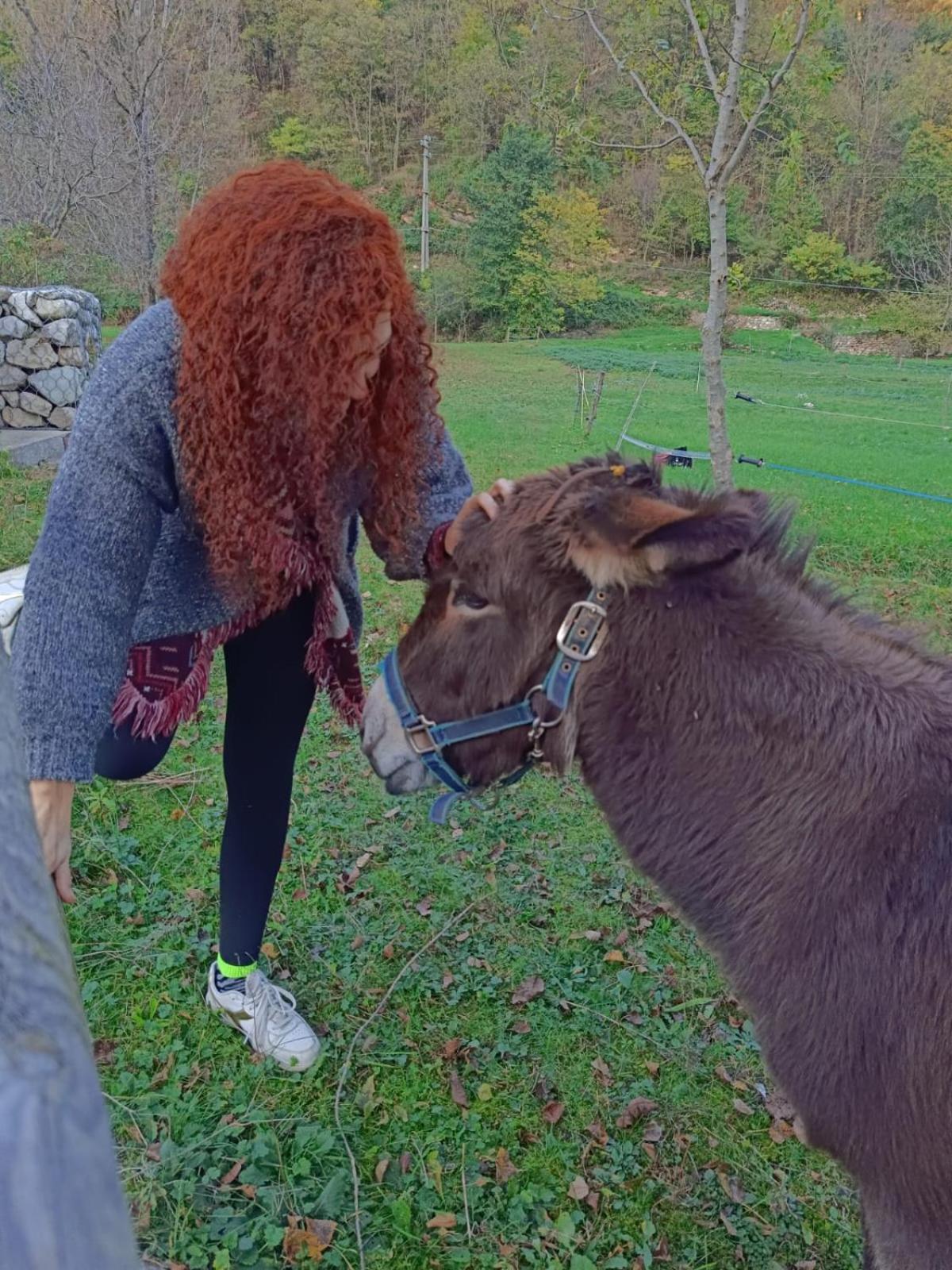 Yurta Aldilà della Luna