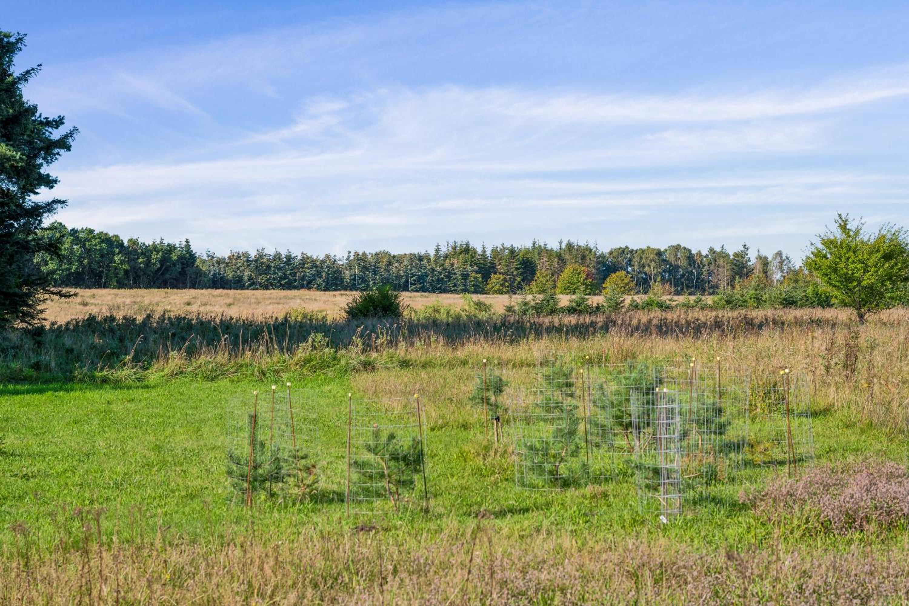 Lyst Og Stilrent Sommerhus Ved Gjerrild Strand
