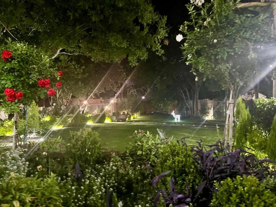 Sandton Dream Pointe