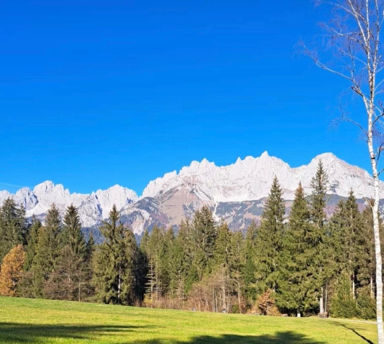 Berg Blick Chalet