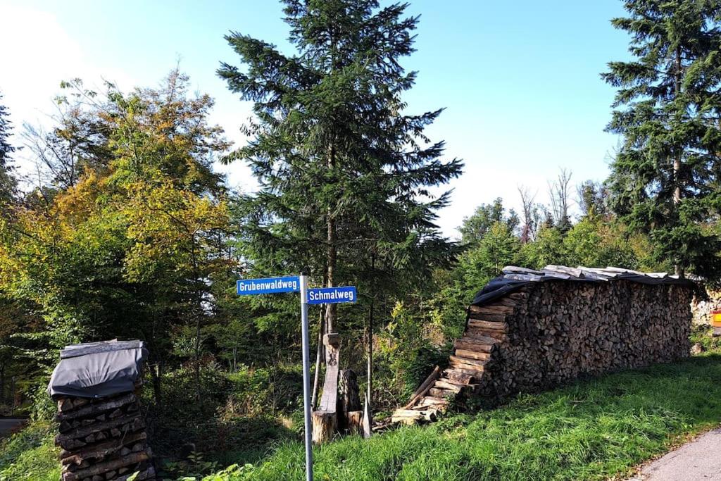 Traumwohnung mit eigenem Garten