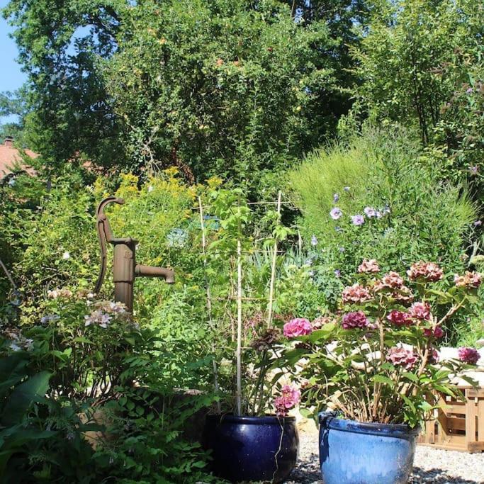 Traumwohnung mit eigenem Garten