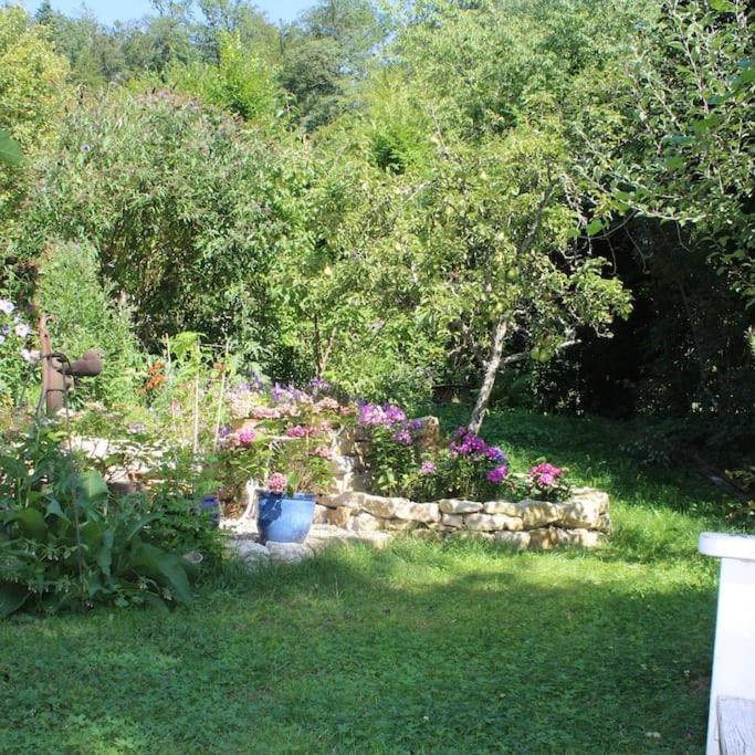 Traumwohnung mit eigenem Garten