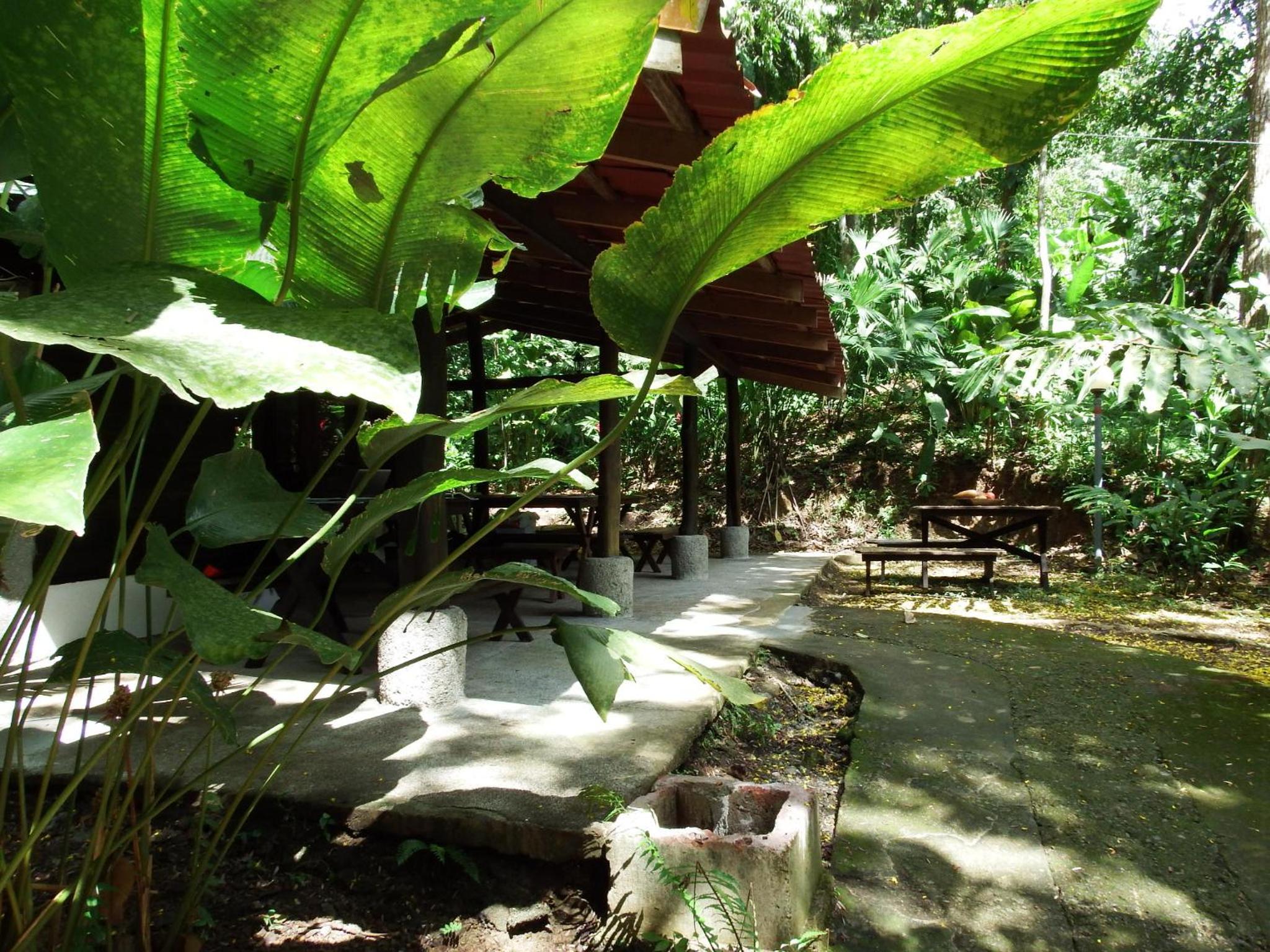 Selva Color - Forest & Beach EcoLodge