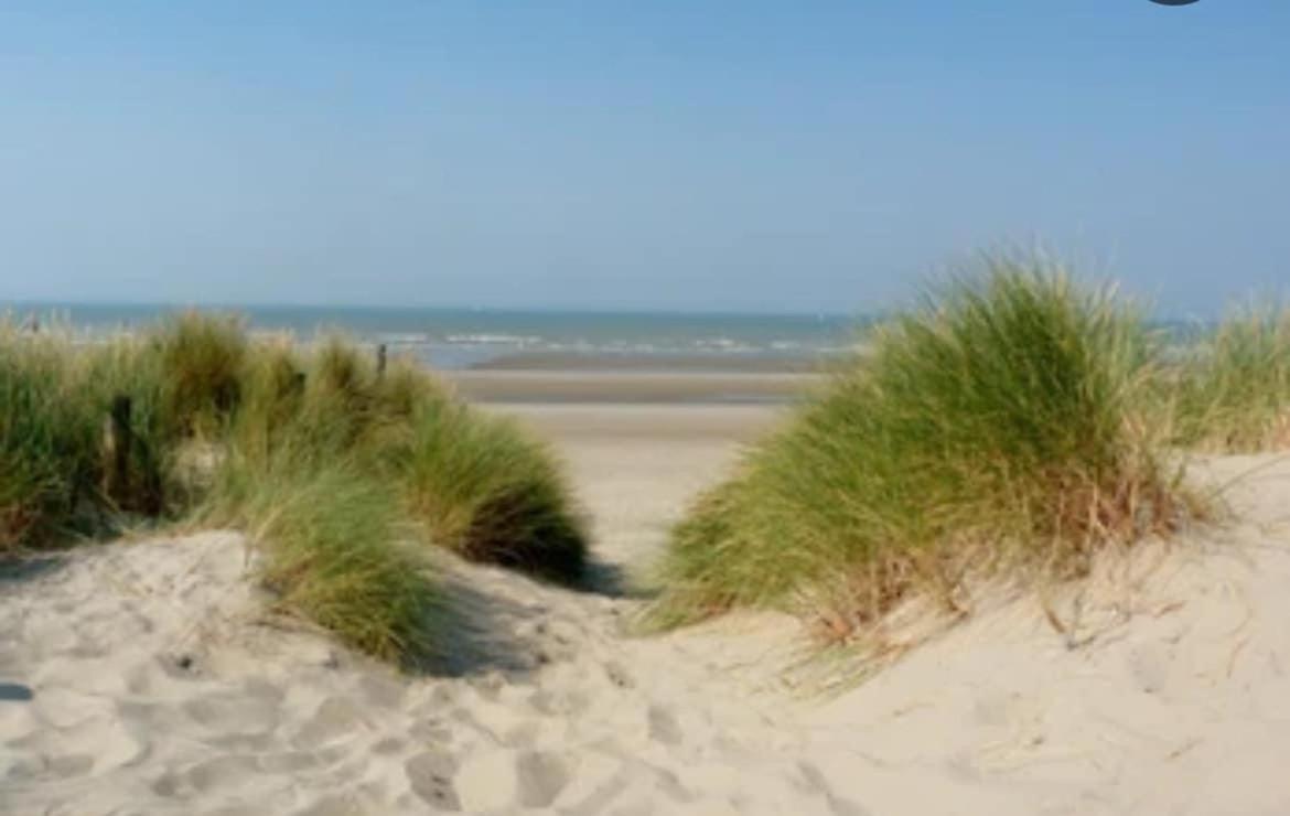 Caravane het zeepaardje