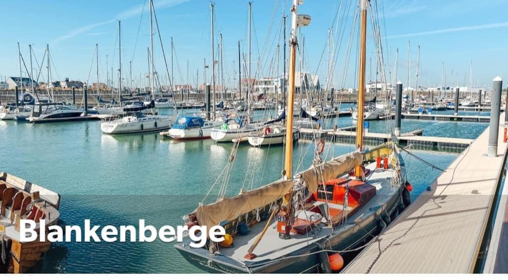 Caravane het zeepaardje