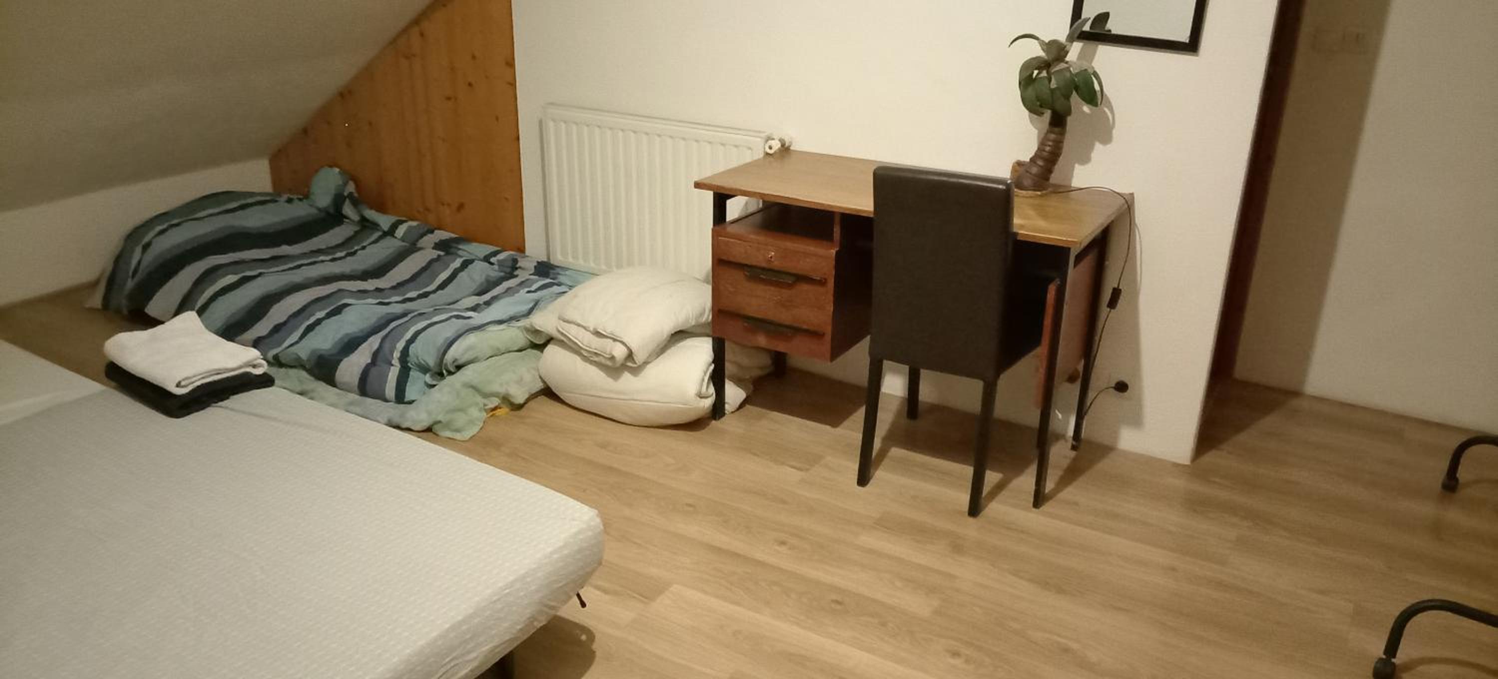maison bleue, photo 10
