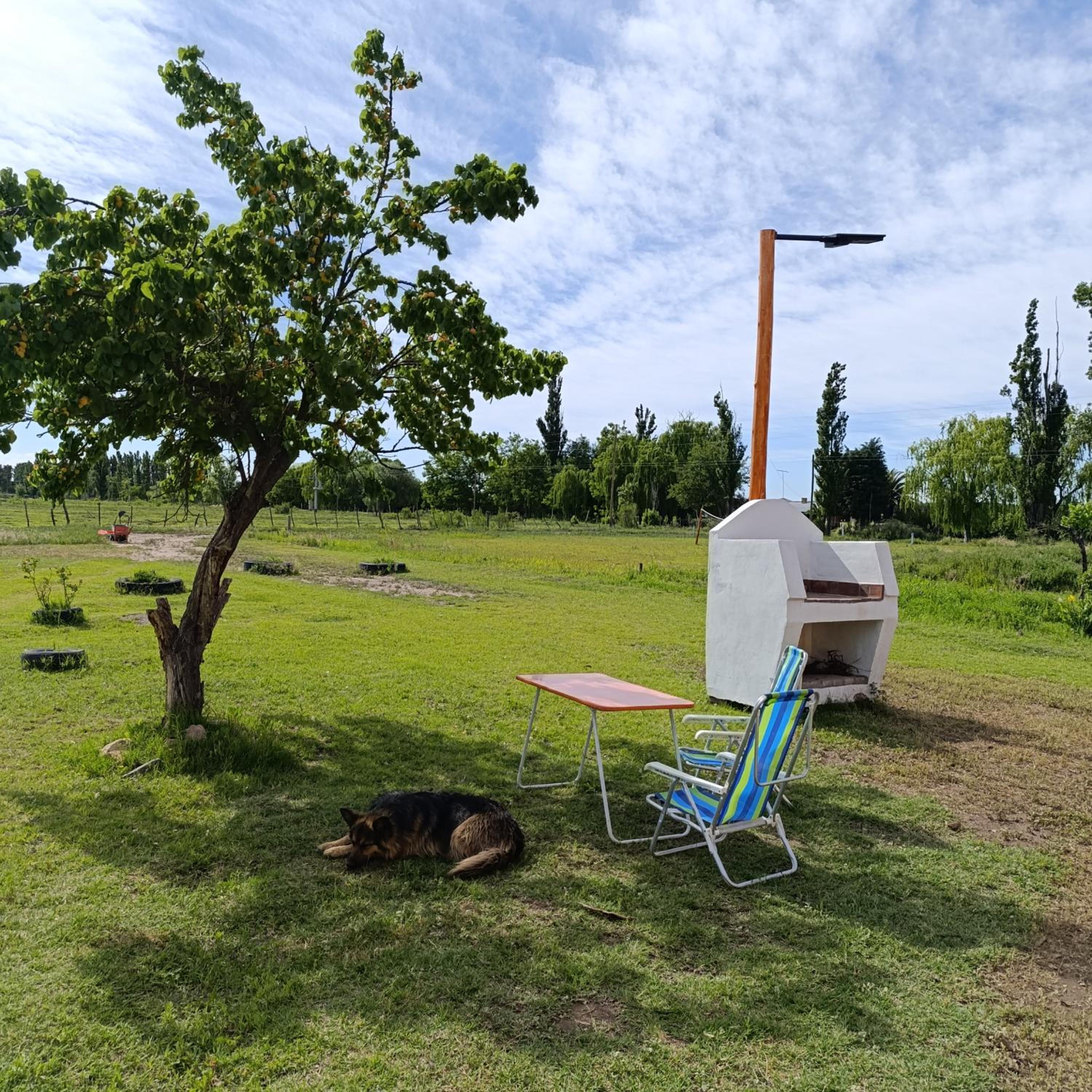 Cabañas Omelen Antü 1