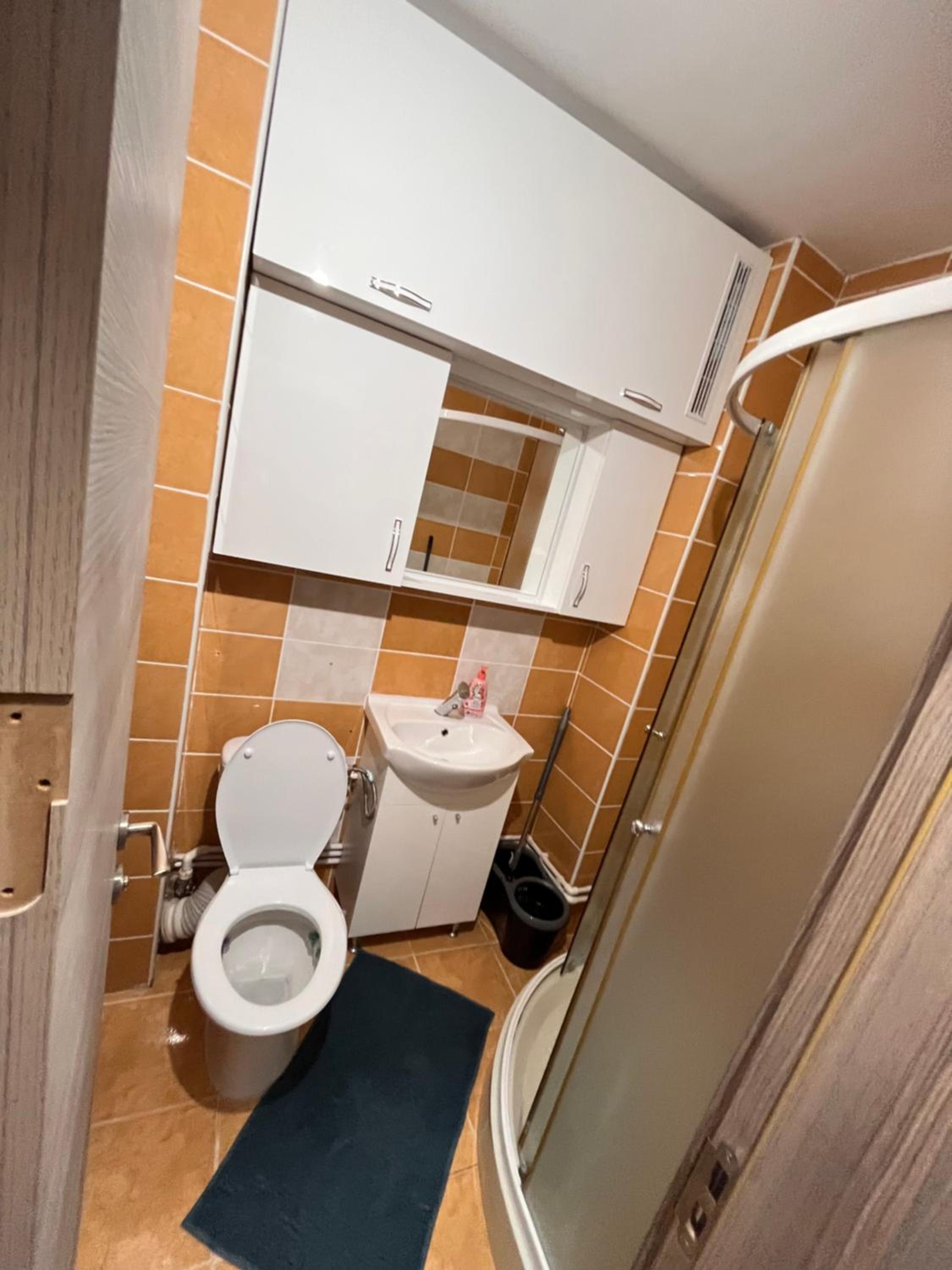 Apartament cu o cameră view 5