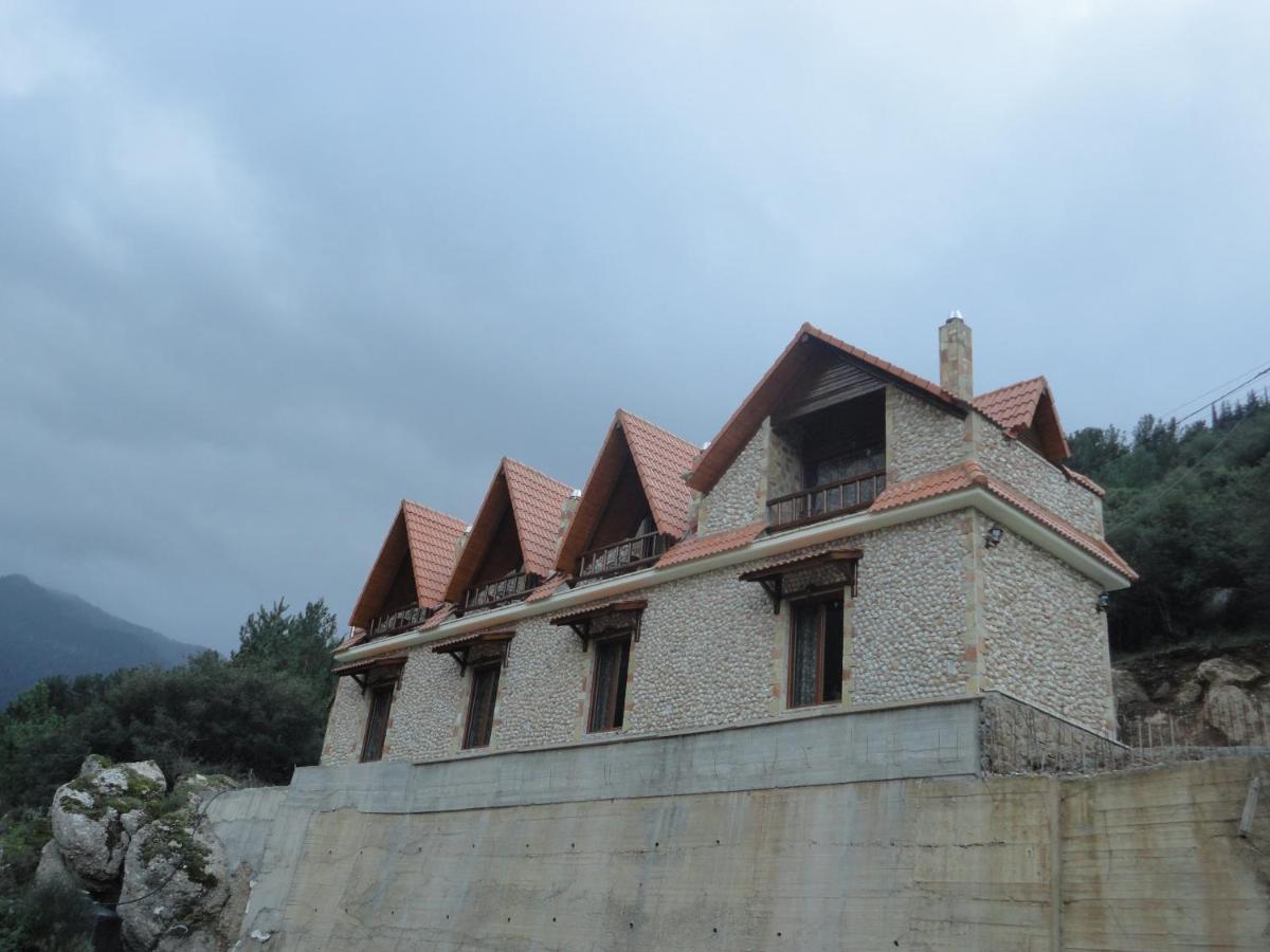 Photo 20