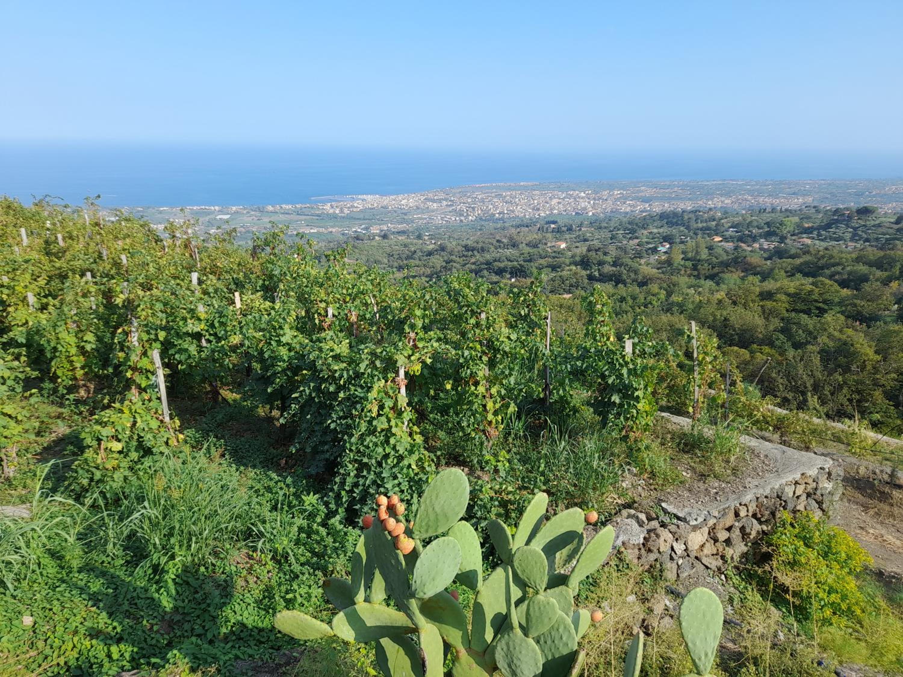 Villa Alberto view 3