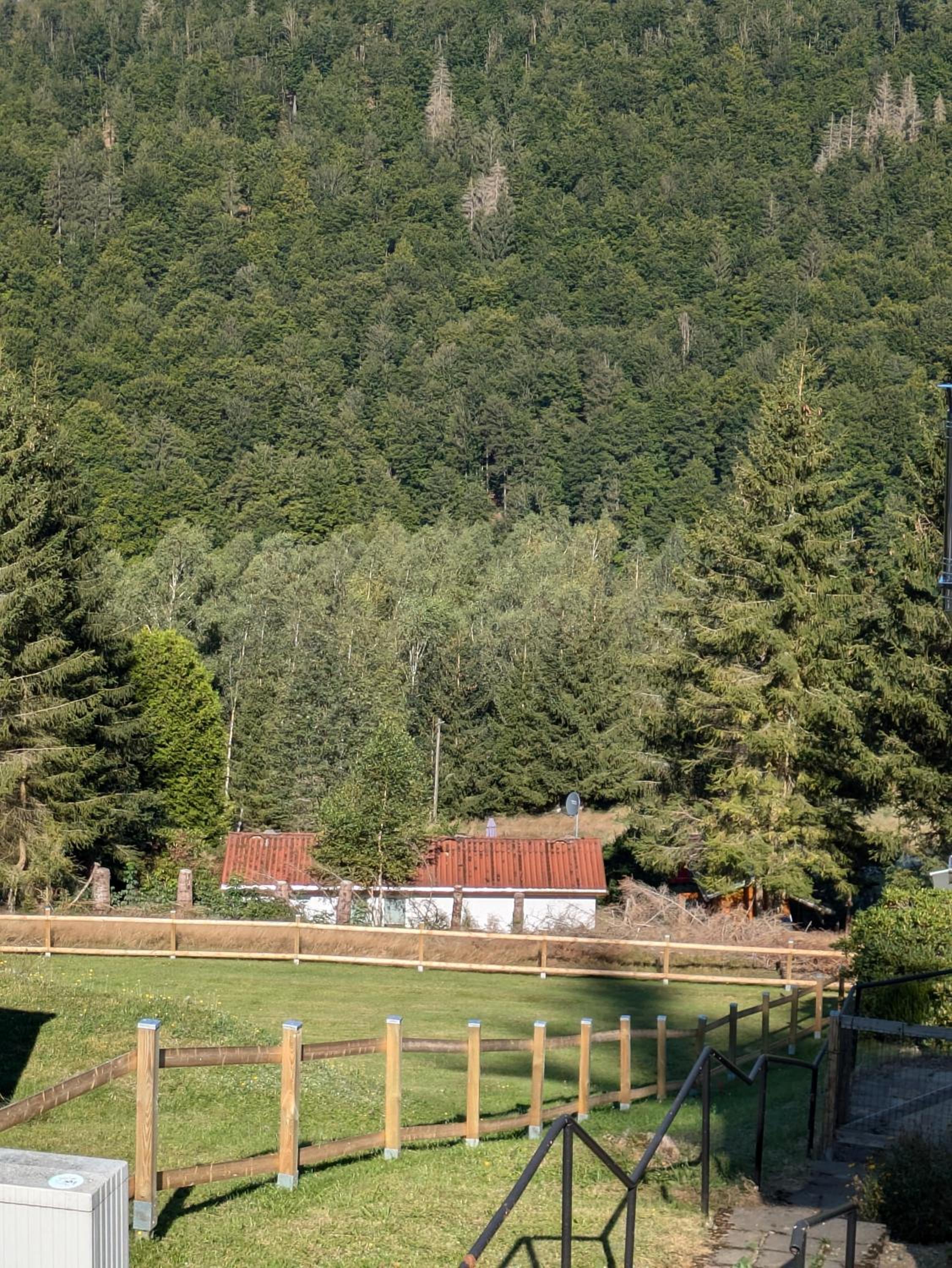 Ferienhaus Goldisthal