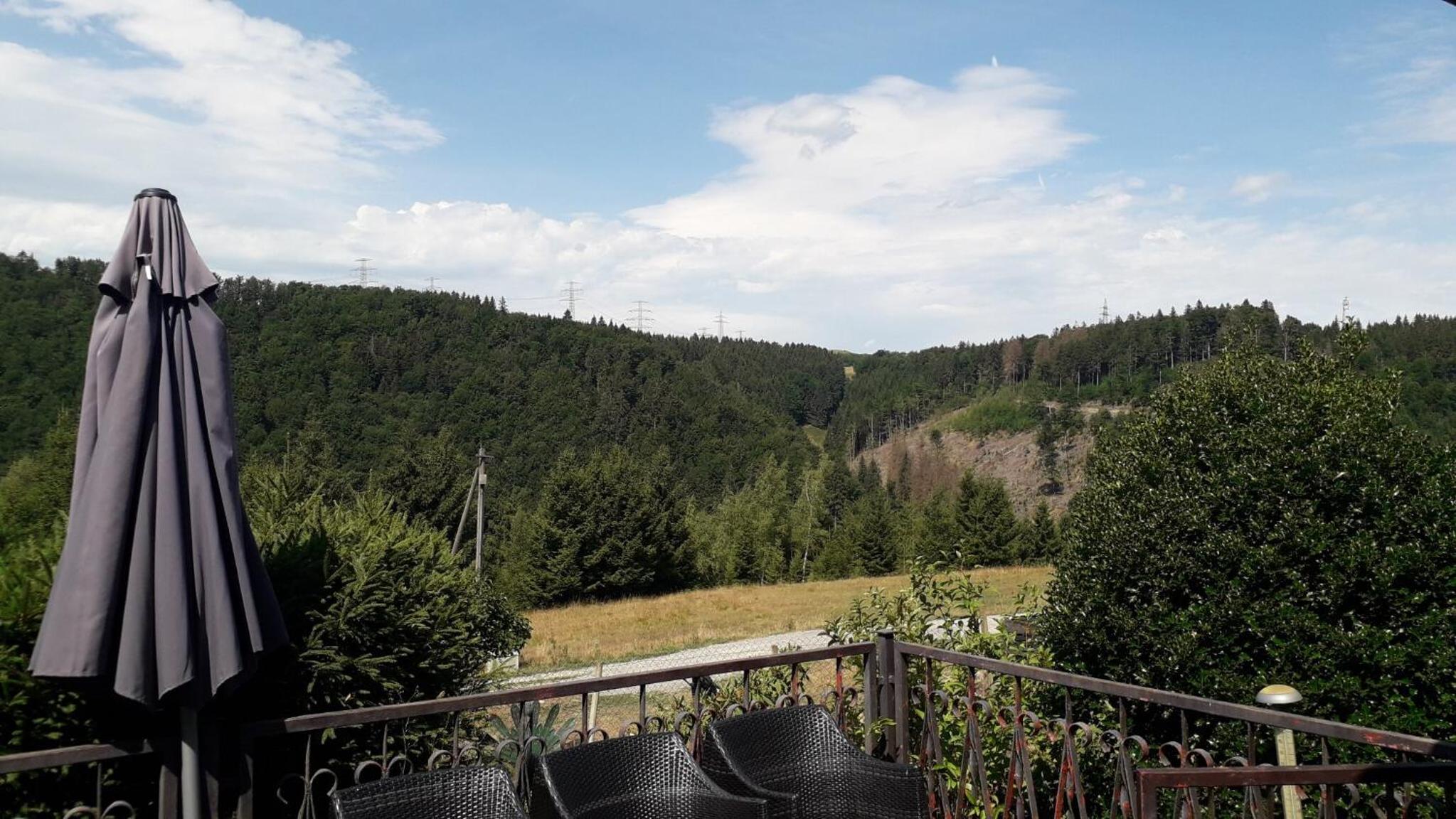 Ferienhaus Goldisthal