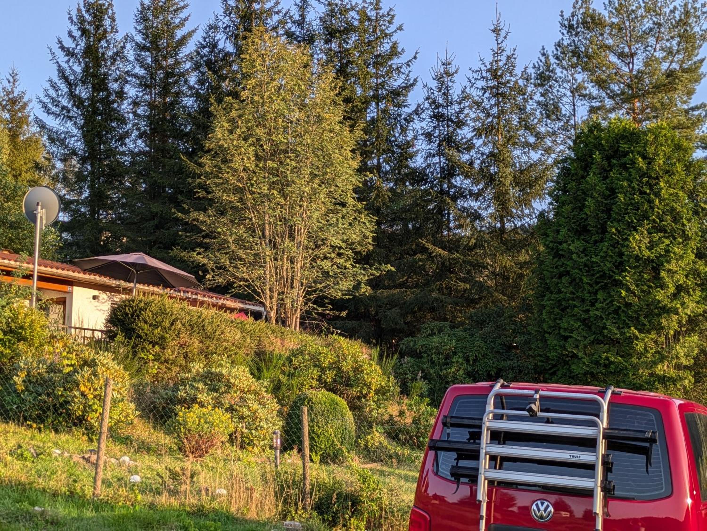 Ferienhaus Goldisthal
