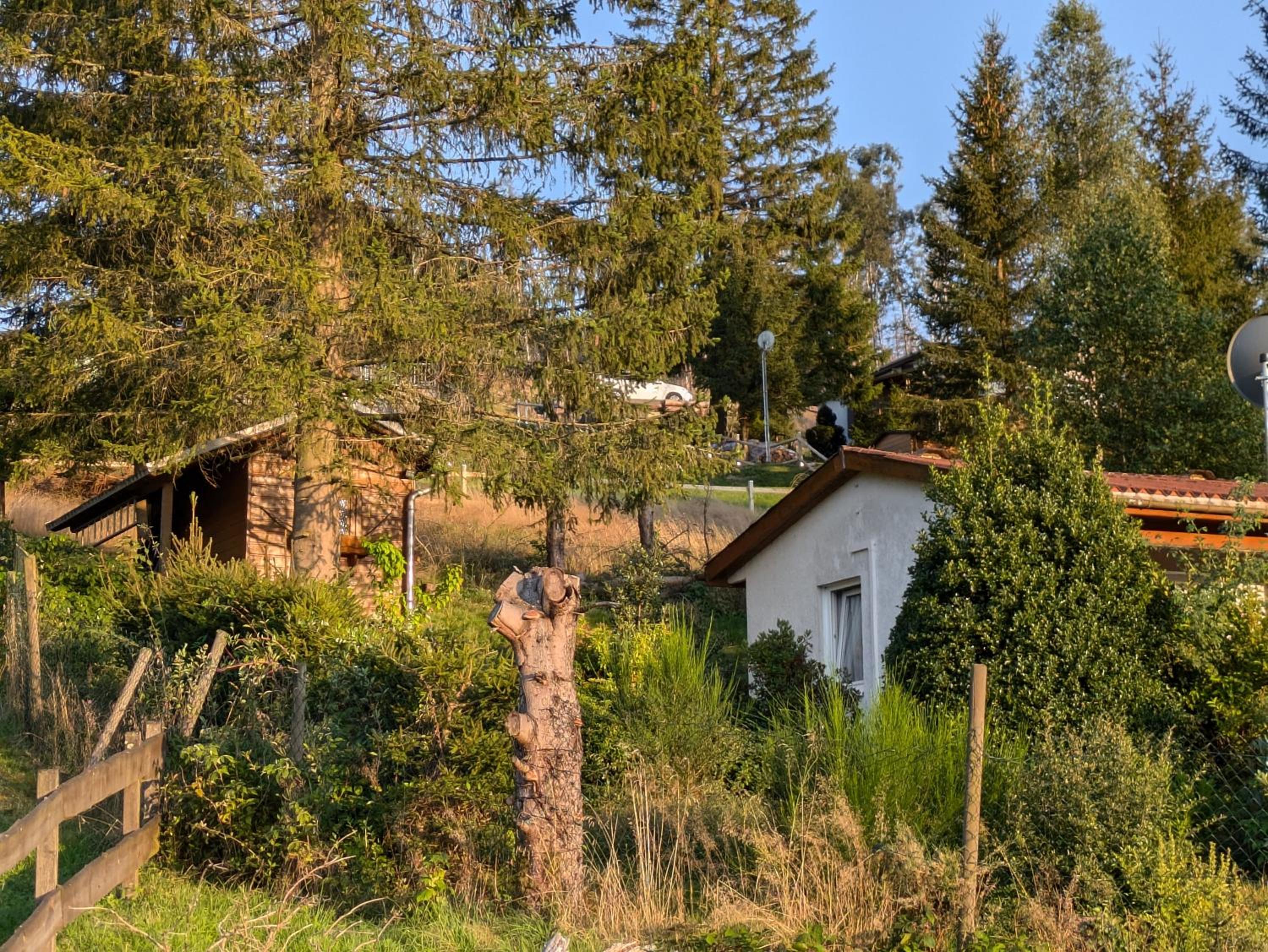 Ferienhaus Goldisthal