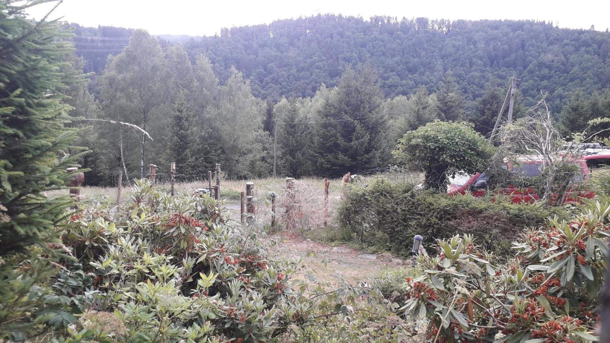 Ferienhaus Goldisthal