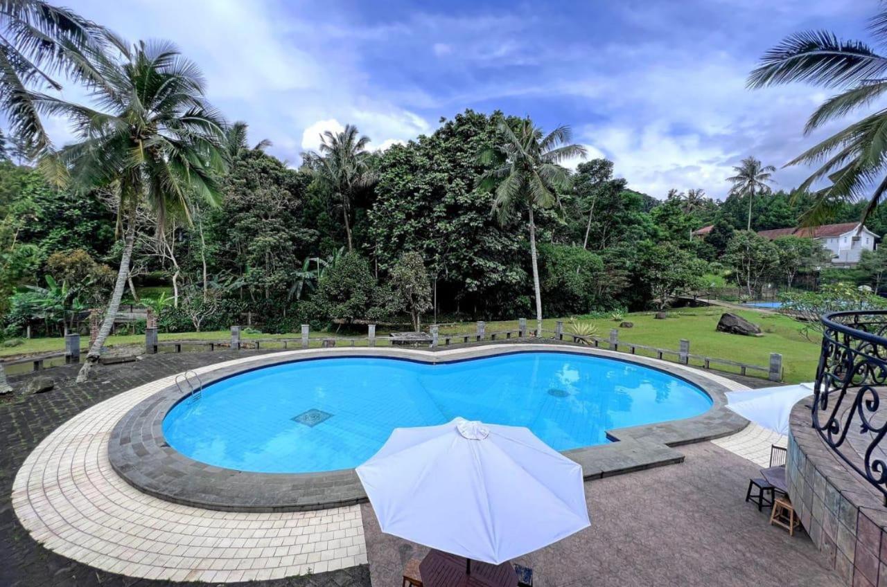 Villa Kay Garden view 4